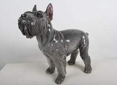 Scultura di cane "Schnauzer" in terracotta grigia italiana del 1960 a grandezza naturale