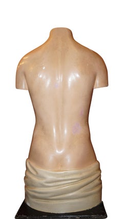 Life-Size Anatomical Model, Germany, 1950