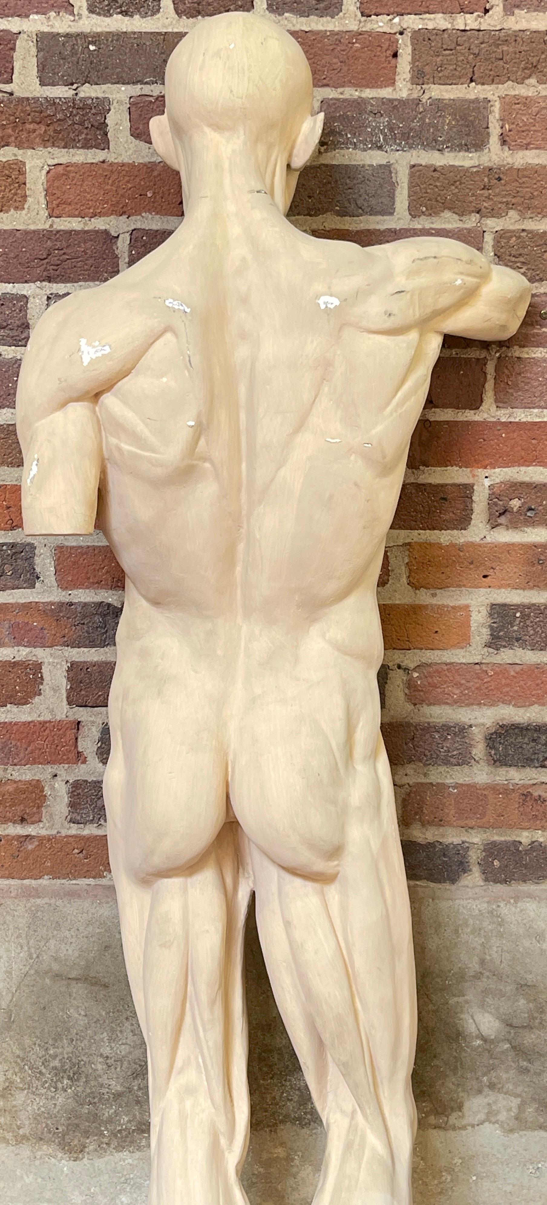 Plaster Life Size Anatomical Study of Flayed Male L'ecorche after Jean-Antoine Houdon
