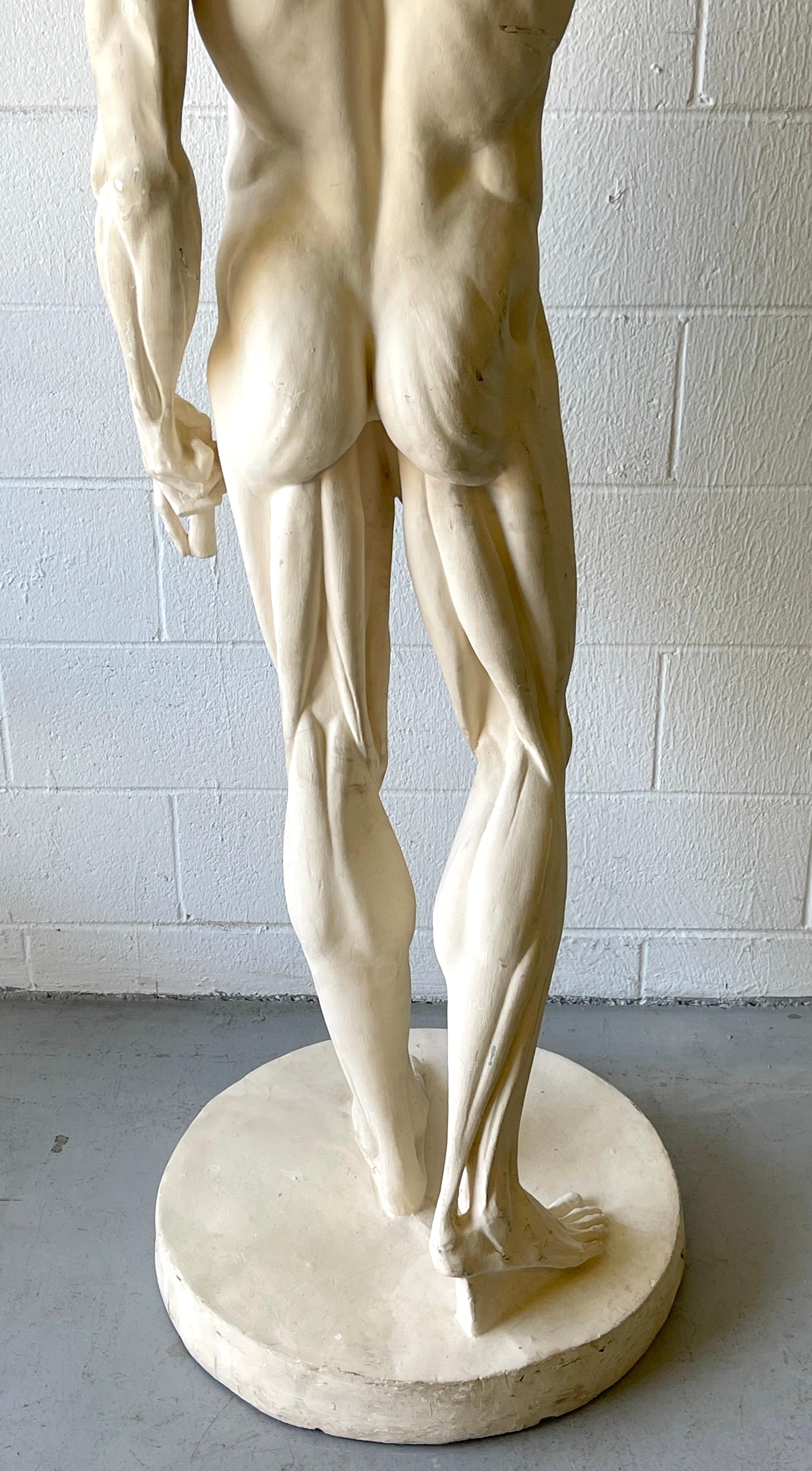 Composition Life Size Anatomical Study of Flayed Male L'ecorche After Jean-Antoine Houdon For Sale