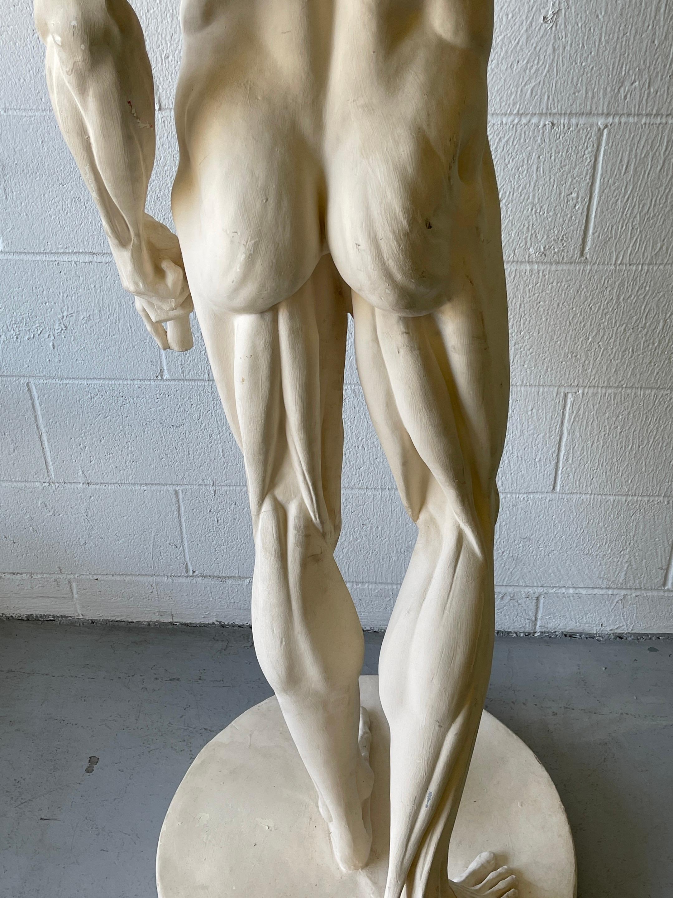 Étude anatomique grandeur nature d'un L'ecorche masculin évasé d'après Jean-Antoine Houdon en vente 1
