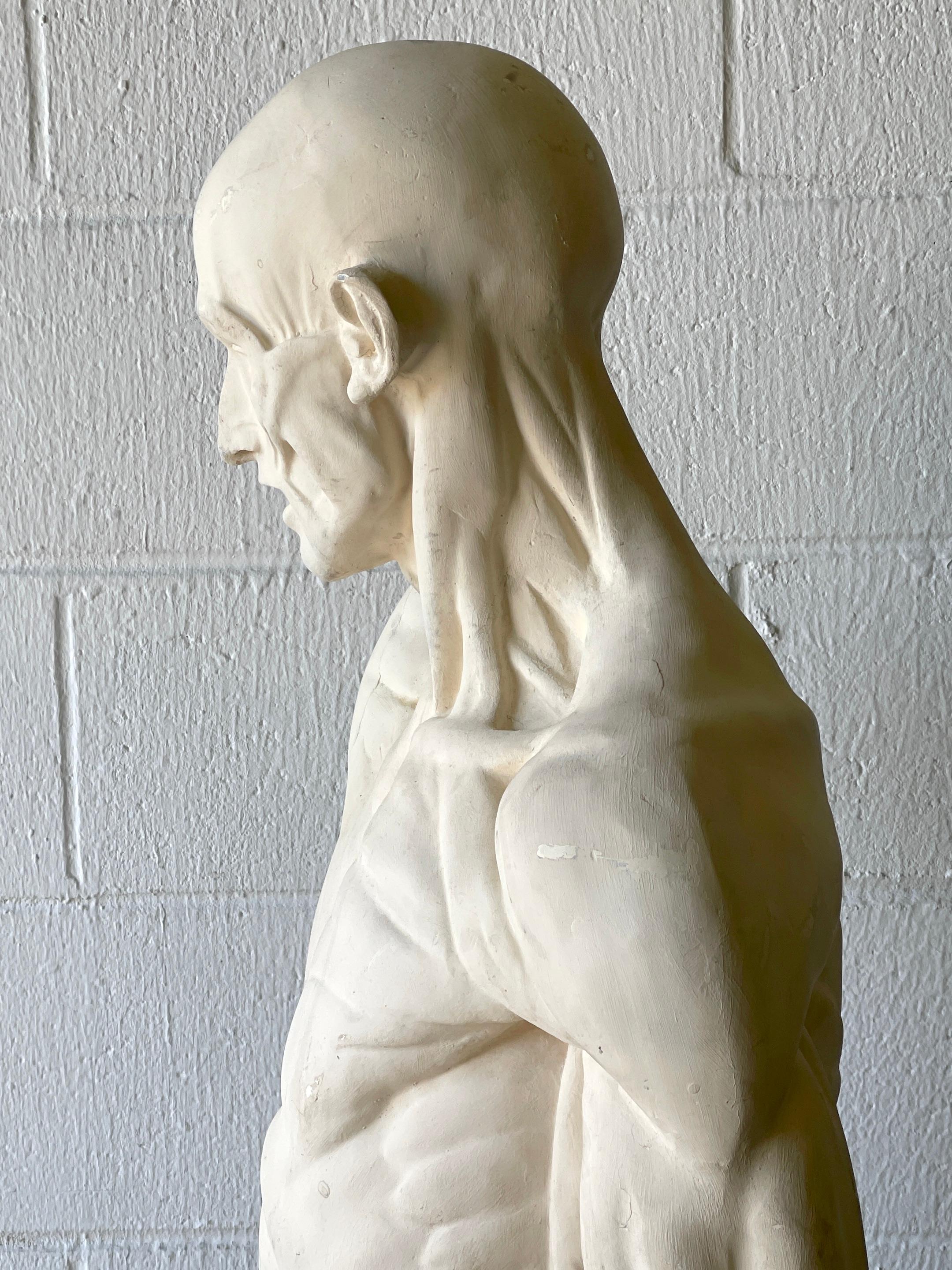 Life Size Anatomical Study of Flayed Male L'ecorche After Jean-Antoine Houdon 4