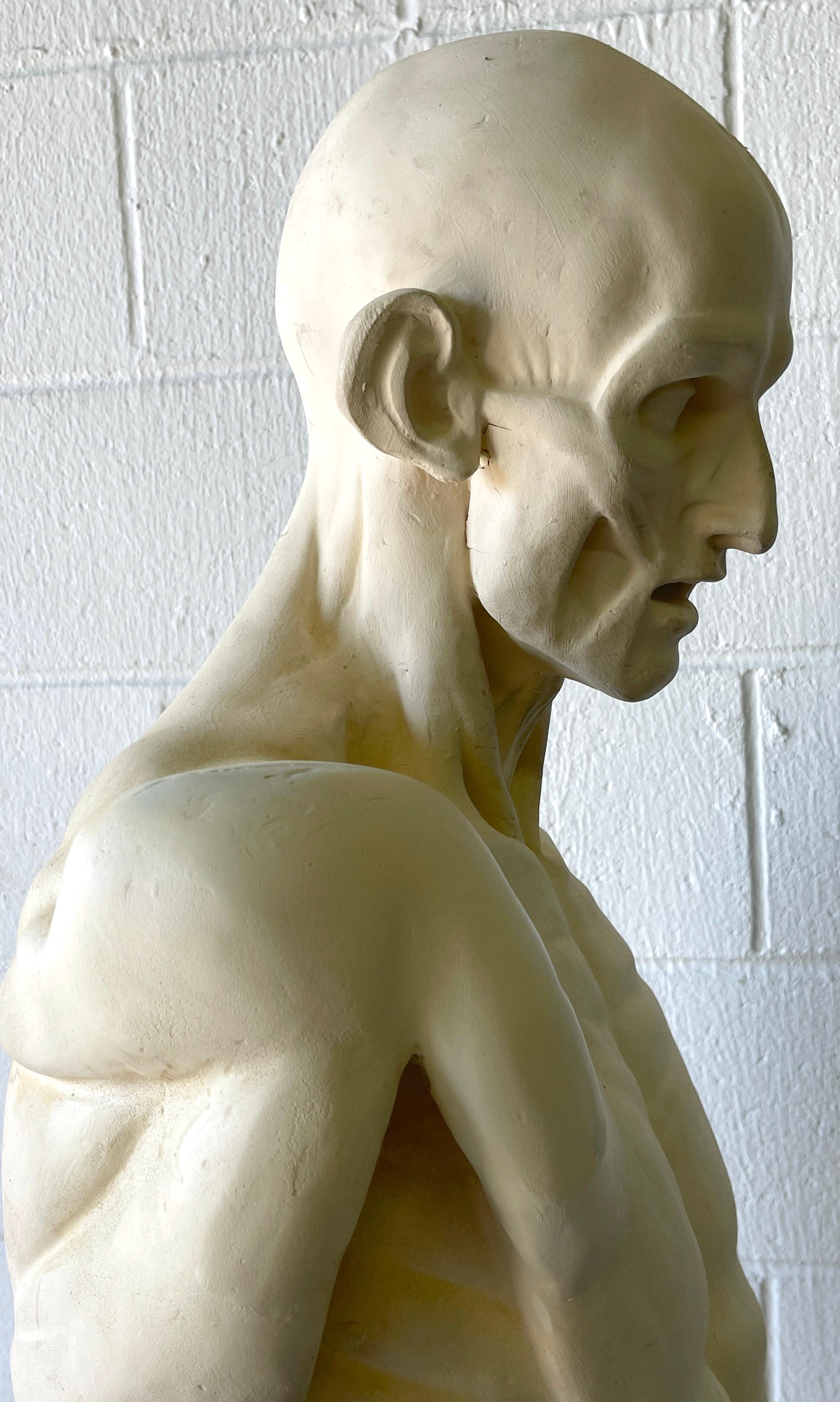 Cast Life Size Anatomical Study of Flayed Male L'ecorche After Jean-Antoine Houdon For Sale