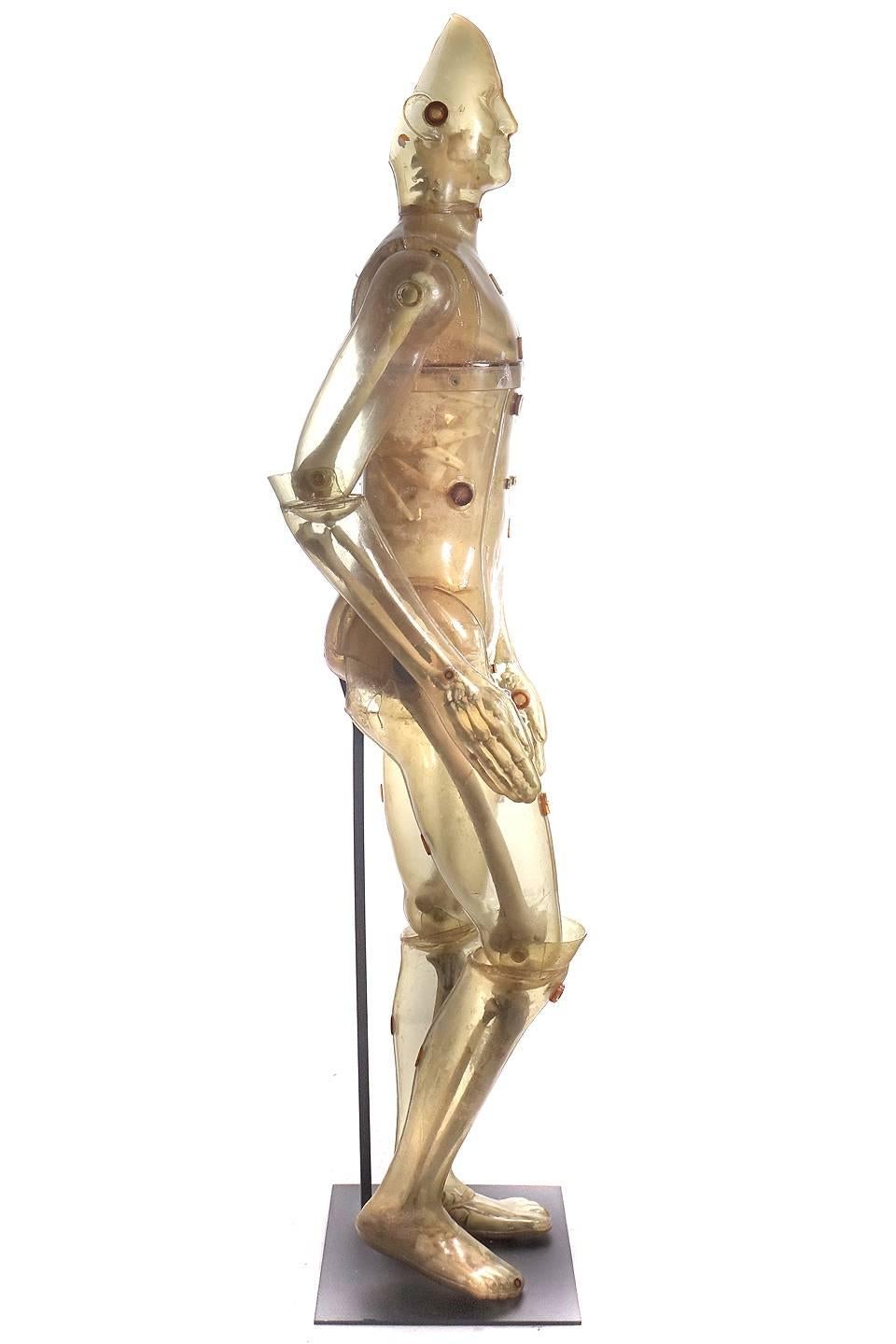 American Life Size Articulating X-Ray Dummy, Cold War Icon