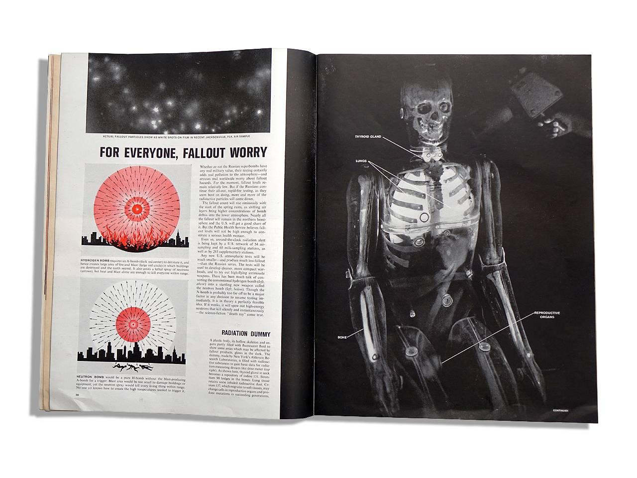 Life Size Articulating X-Ray Dummy, Cold War Icon In Excellent Condition In Peekskill, NY
