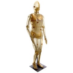 Life Size Articulating X-Ray Dummy, Cold War Icon