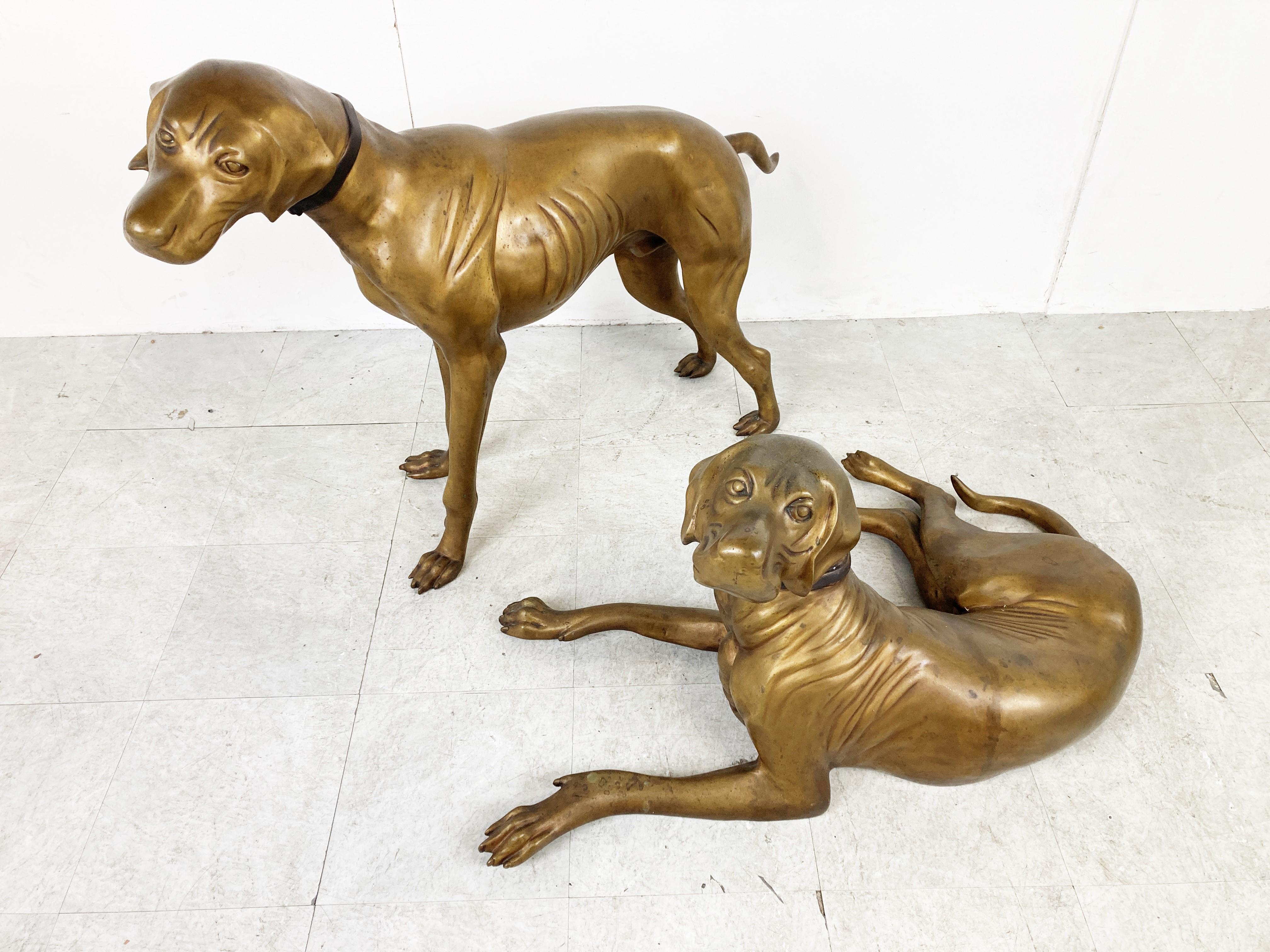 Impressive pair of life size brass 'weimaraner' dog sculptures.

One is laying down and the other on is standing, which make them extra decorative as a pair.

Nicely patinated brass and beautifully detailed sculptures

1960s -