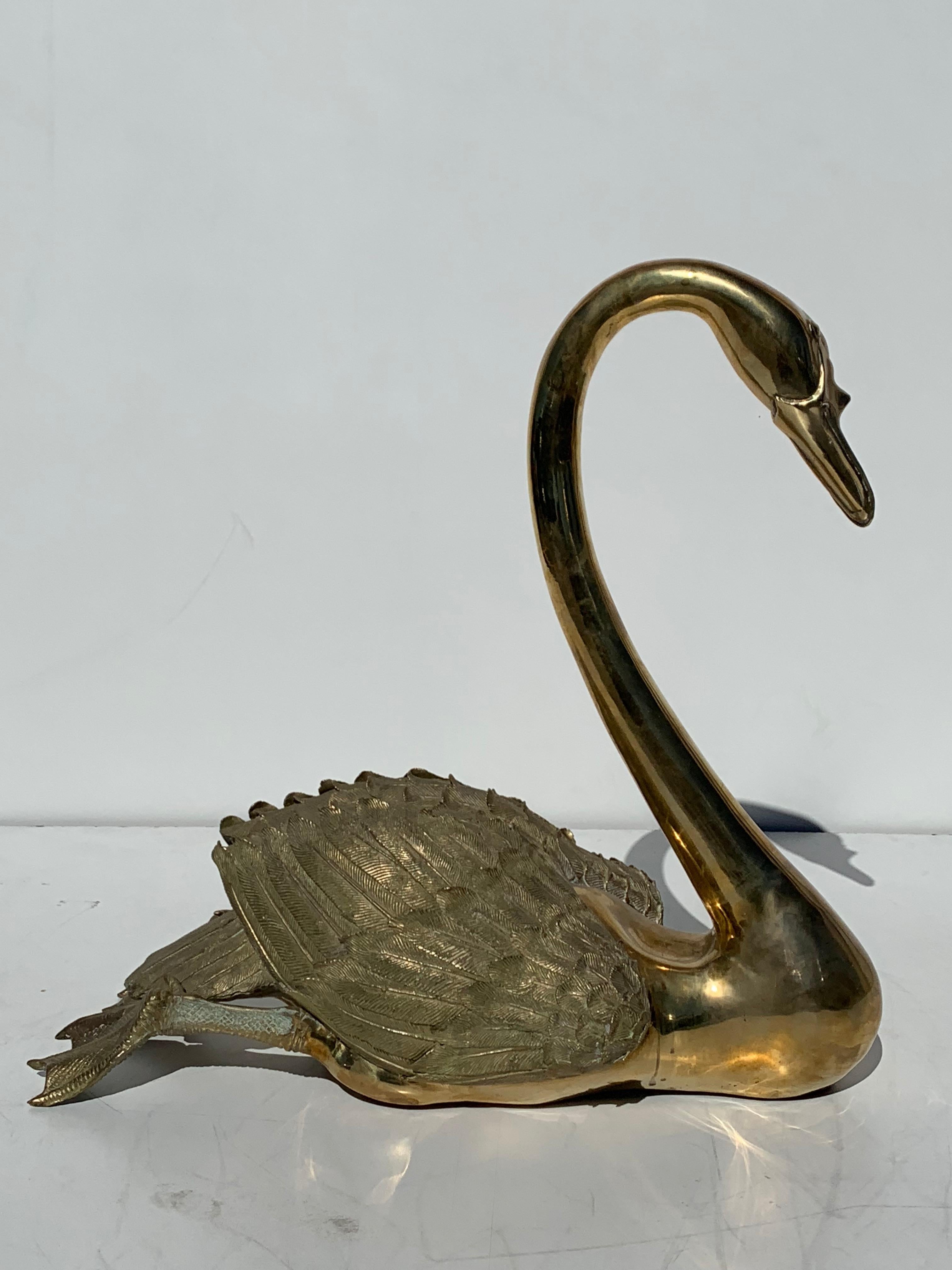 swan size