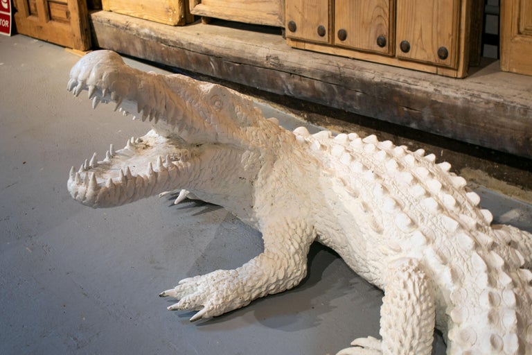 Life-size bronze cast crocodile painted in white. Bronze is an allow of mainly copper and tin which only oxidises superficially and can last millions of years. Ideal as an interior piece or in the garden, where gradually it will turn to the natural