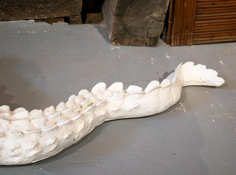 Life-Size Bronze Cast Crocodile Painted in White In Good Condition For Sale In Marbella, ES