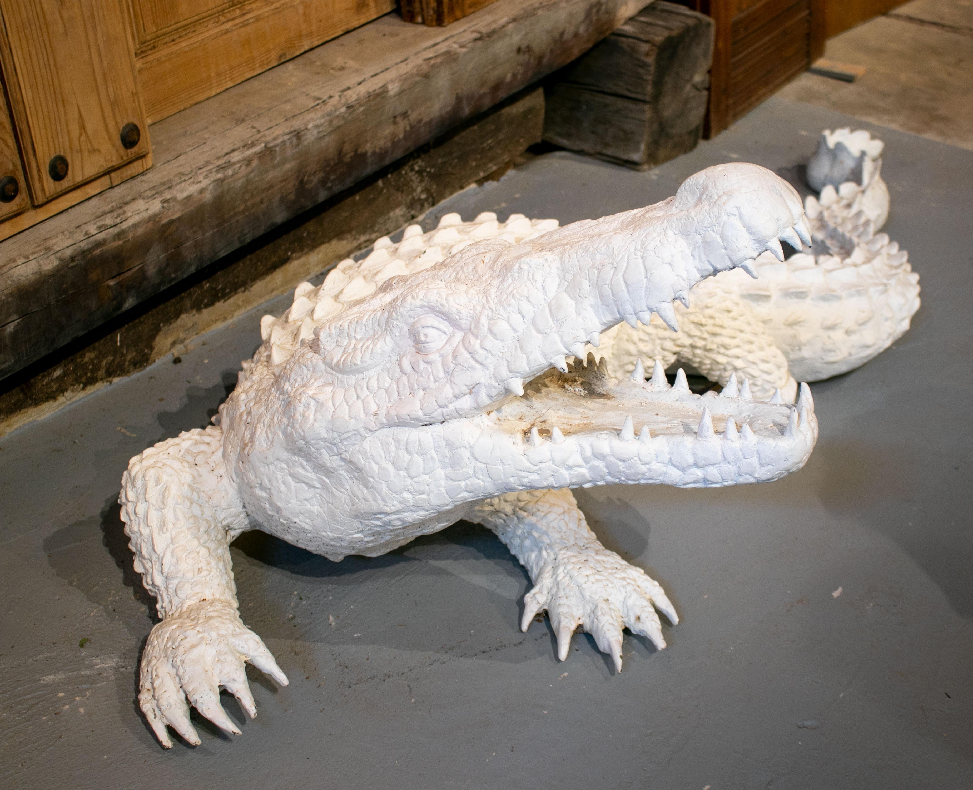 ivory crocodile