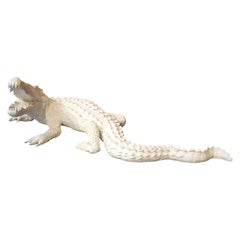 Life-Size Bronze Cast Crocodile Painted in White