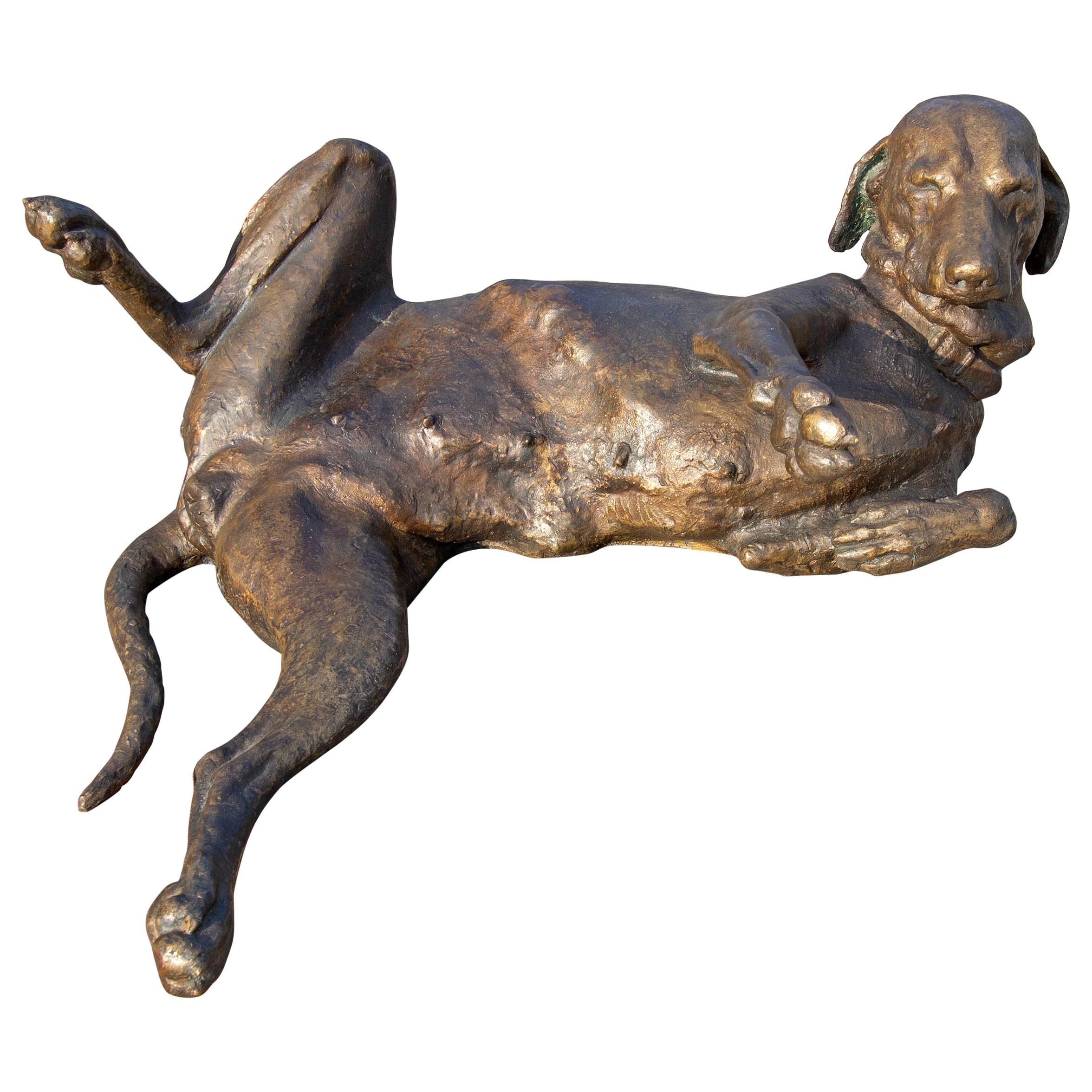 Life-size bronze dog by Czech artist Petr Sidivy. Dated 1990. Sculpture was done while Sidivy was teaching at The University of Buffalo on a Fulbright scholarship.
The sculptor Petr Šedivý was born in 1948 in Prague. He graduated from prof. Karel