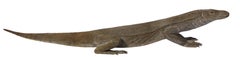 Life-Size Carved Komodo Dragon Sculpture