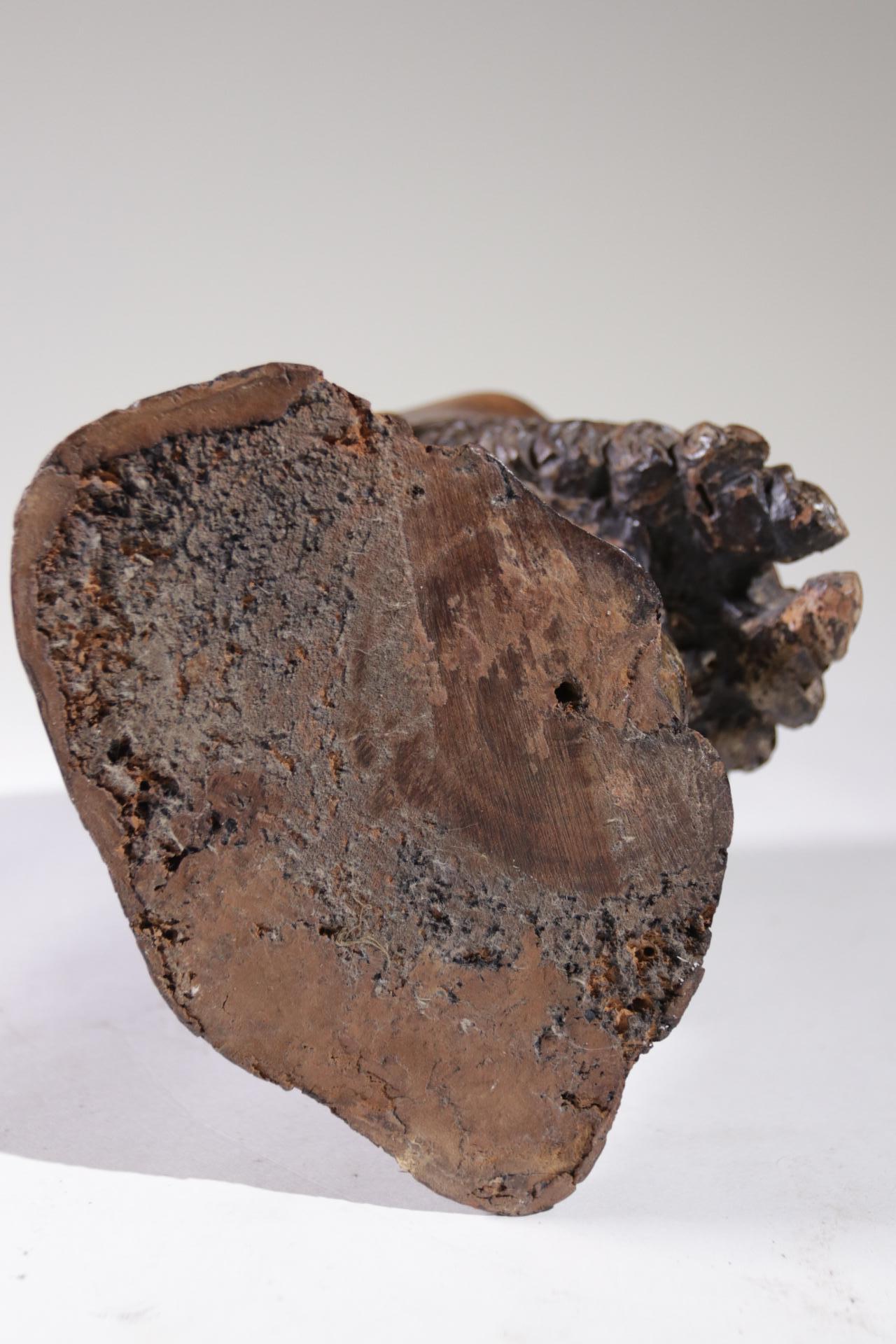 Escultura de madera tallada a tamaño natural de la cabeza de un hombre circa 1700 Sur de Europa en venta 11