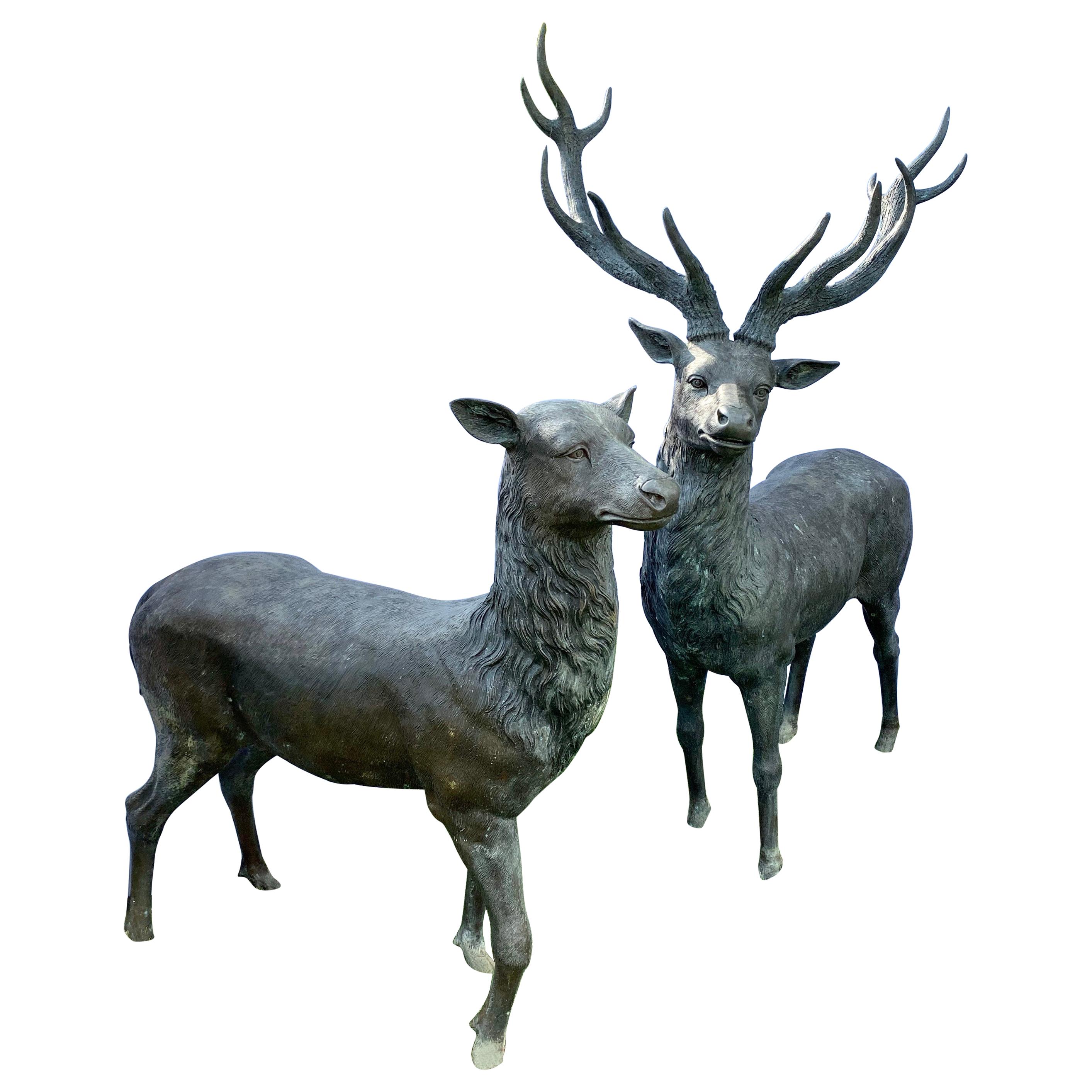 Life-Size Cast Bronze Male Reindeer and Female Deer Statues