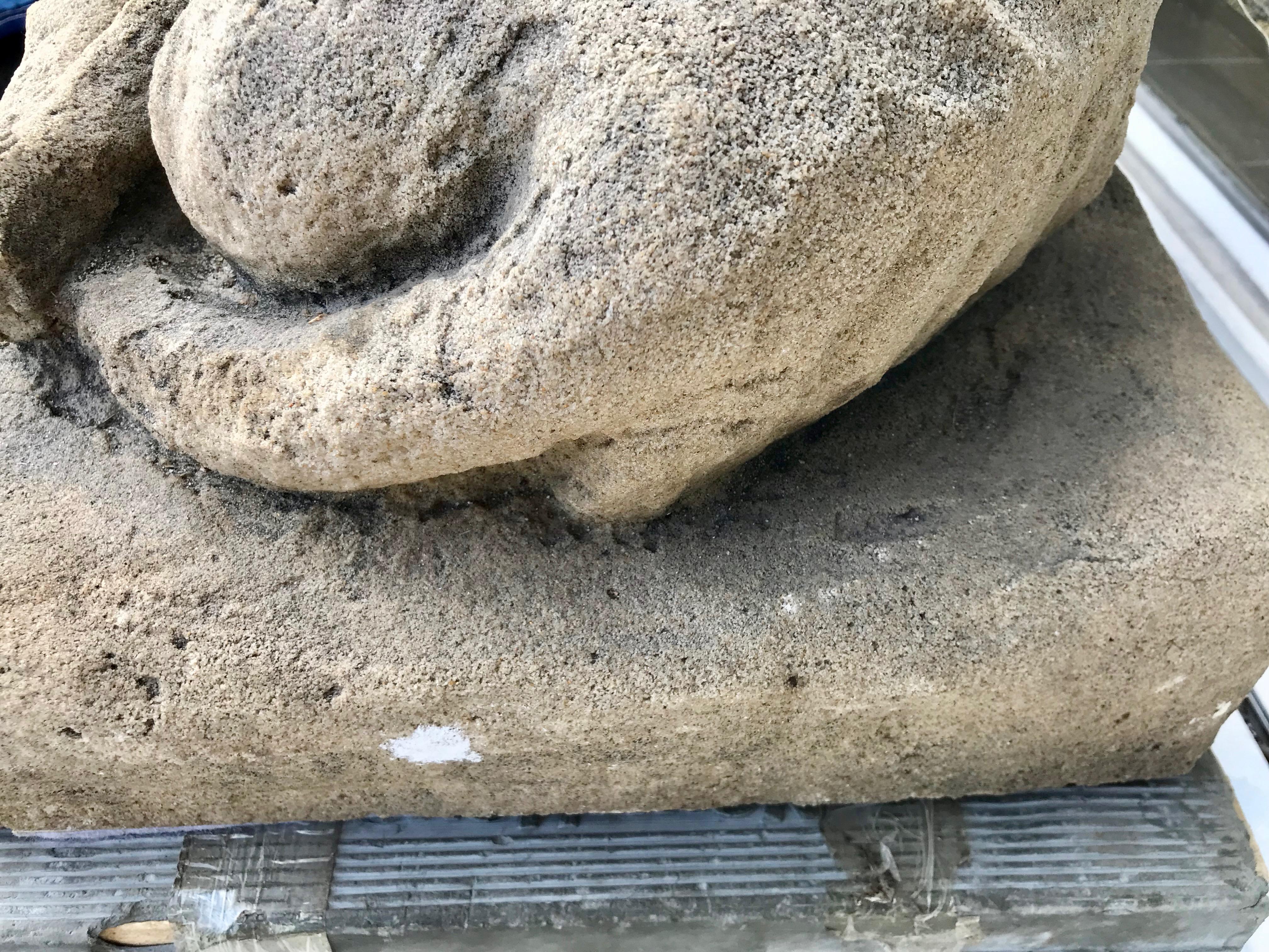 Life Size Cast Stone /Concrete Figure of a Dog 6