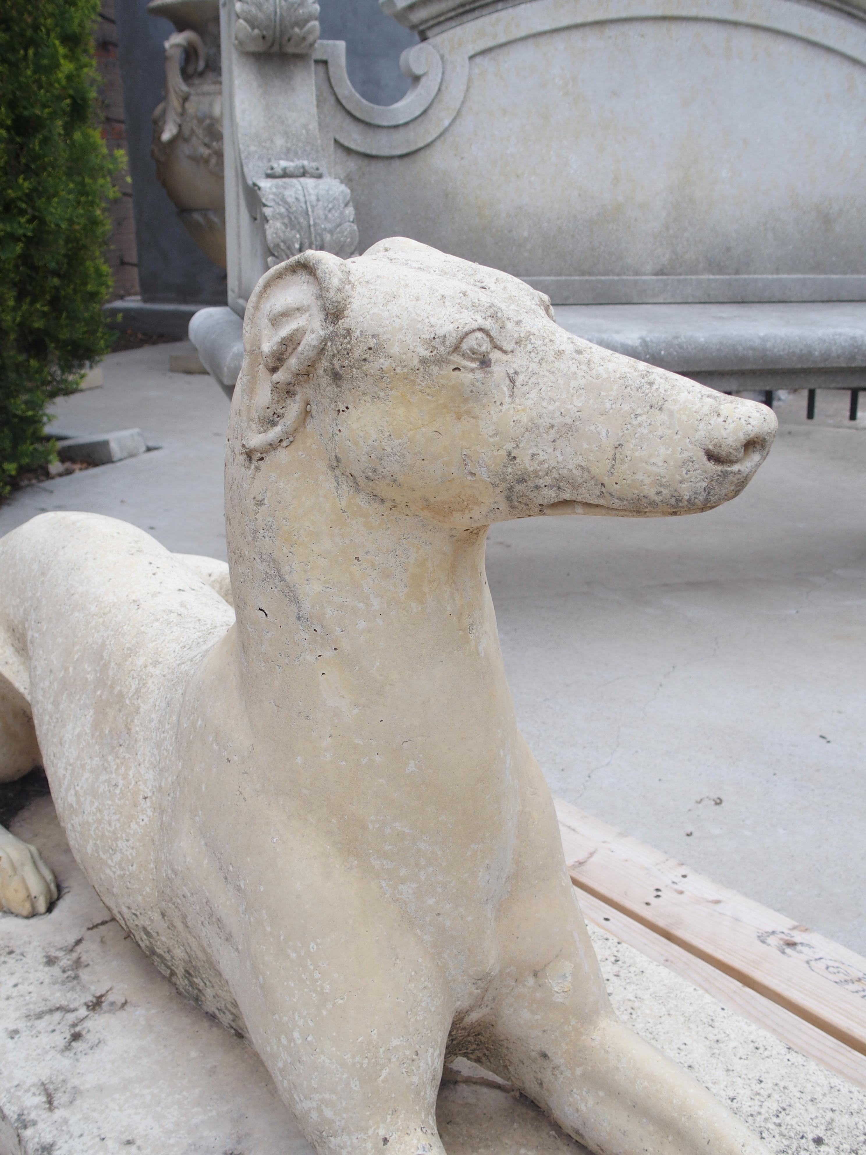 Life-Size Composite Stone Greyhound Statue from England 3