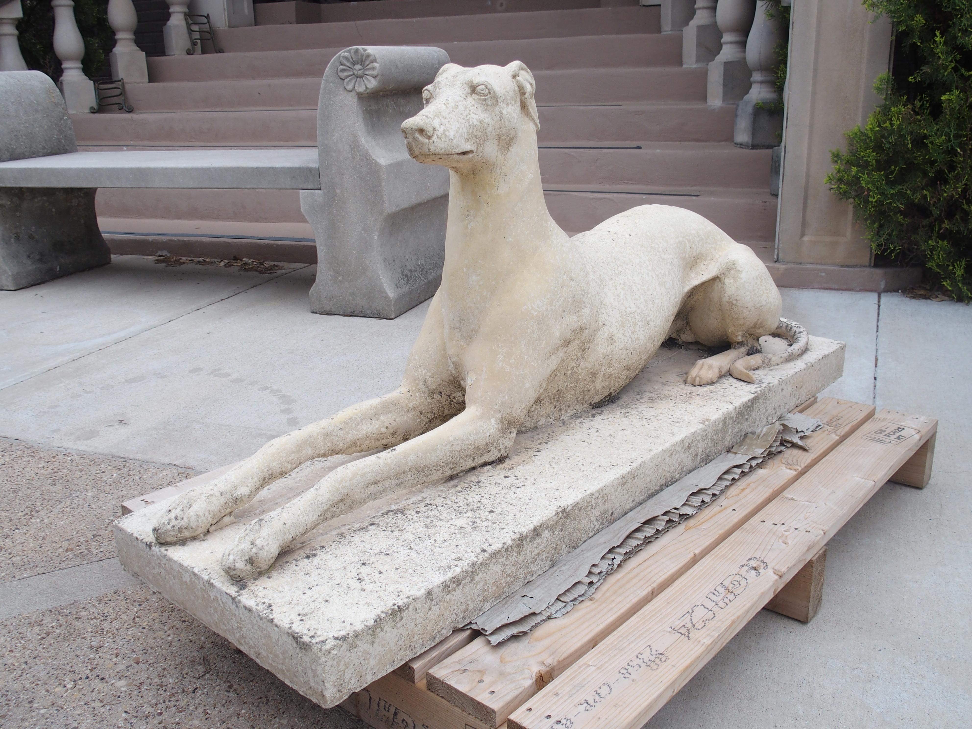 LifeSize Composite Stone Greyhound Statue from England at 1stDibs