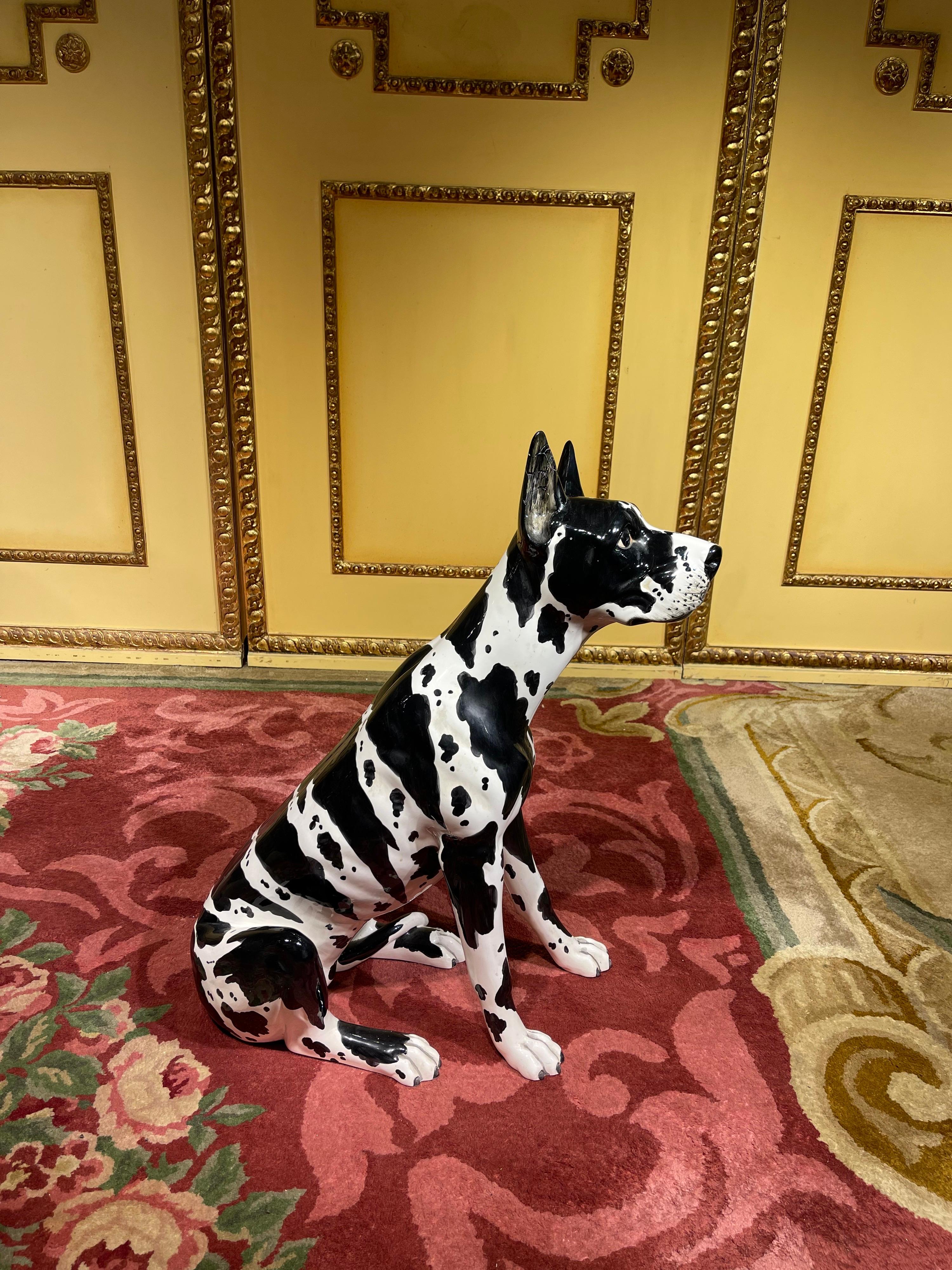 great dane albino
