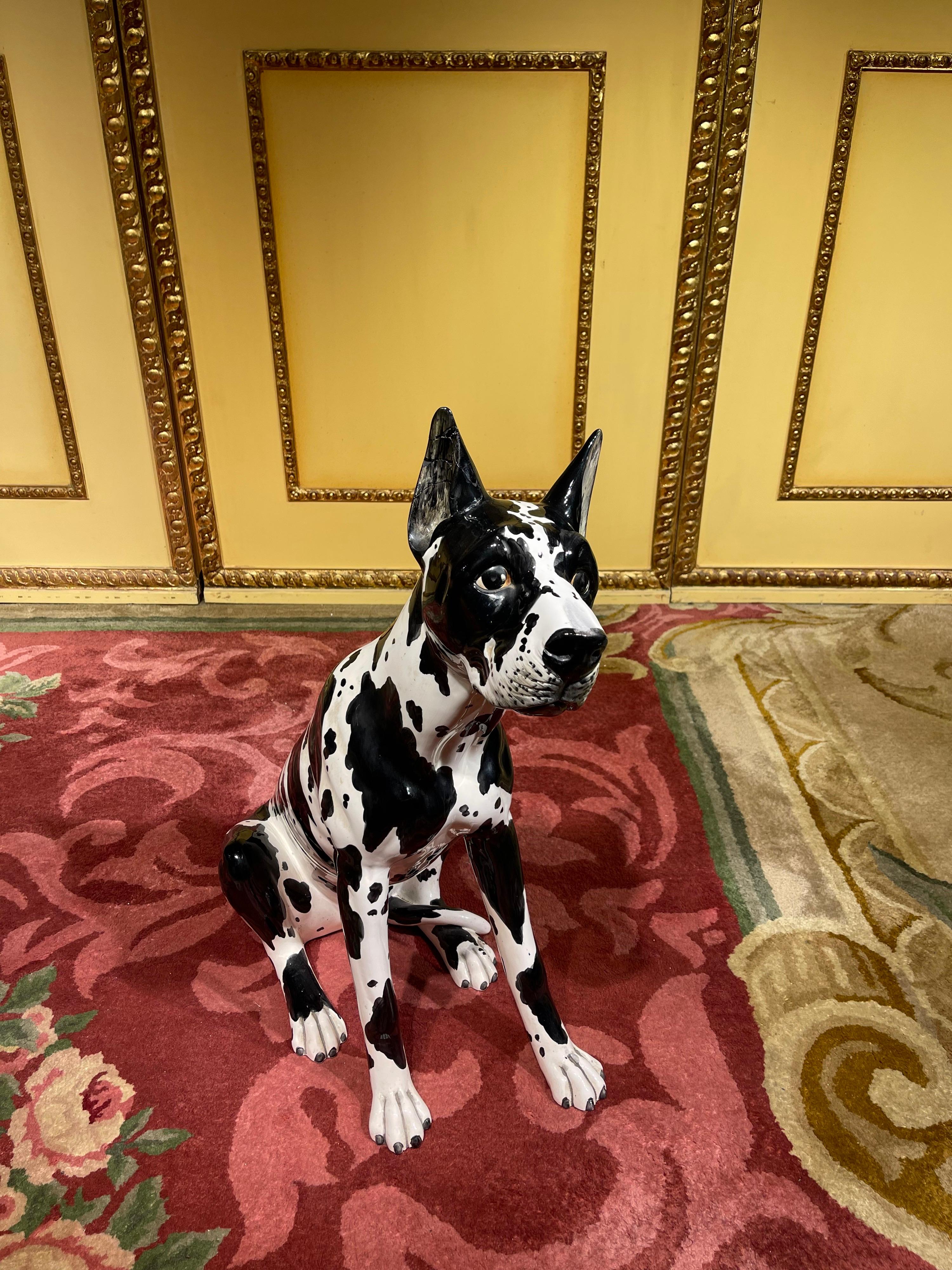 black and white great dane