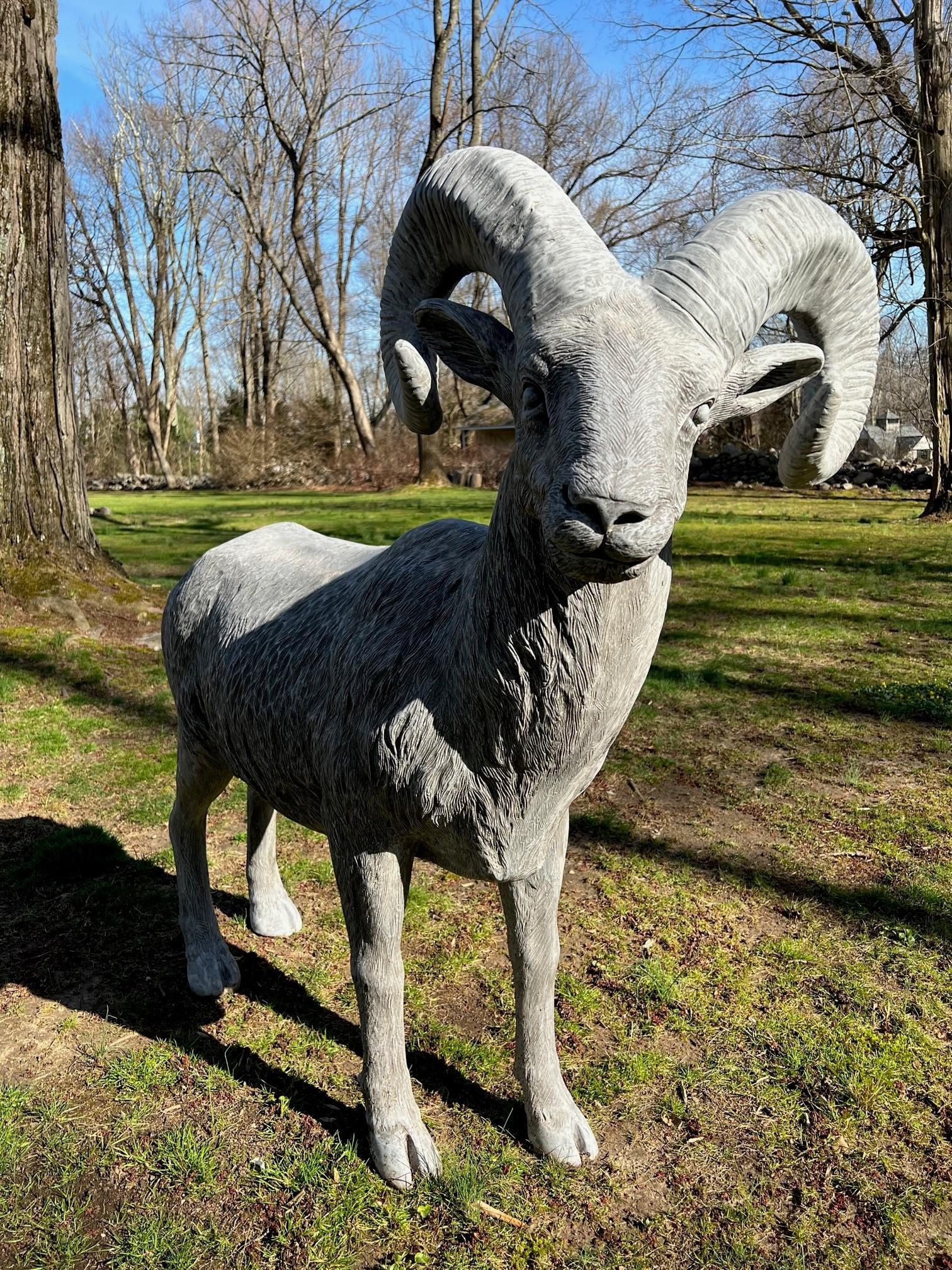 Life size fiberglass Ram is made of a very strong fiberglass which will withstand the elements. This Ram is fantastic and a perfect addition to any garden or yard. Also would be great as a school mascot 
GO RAMS.