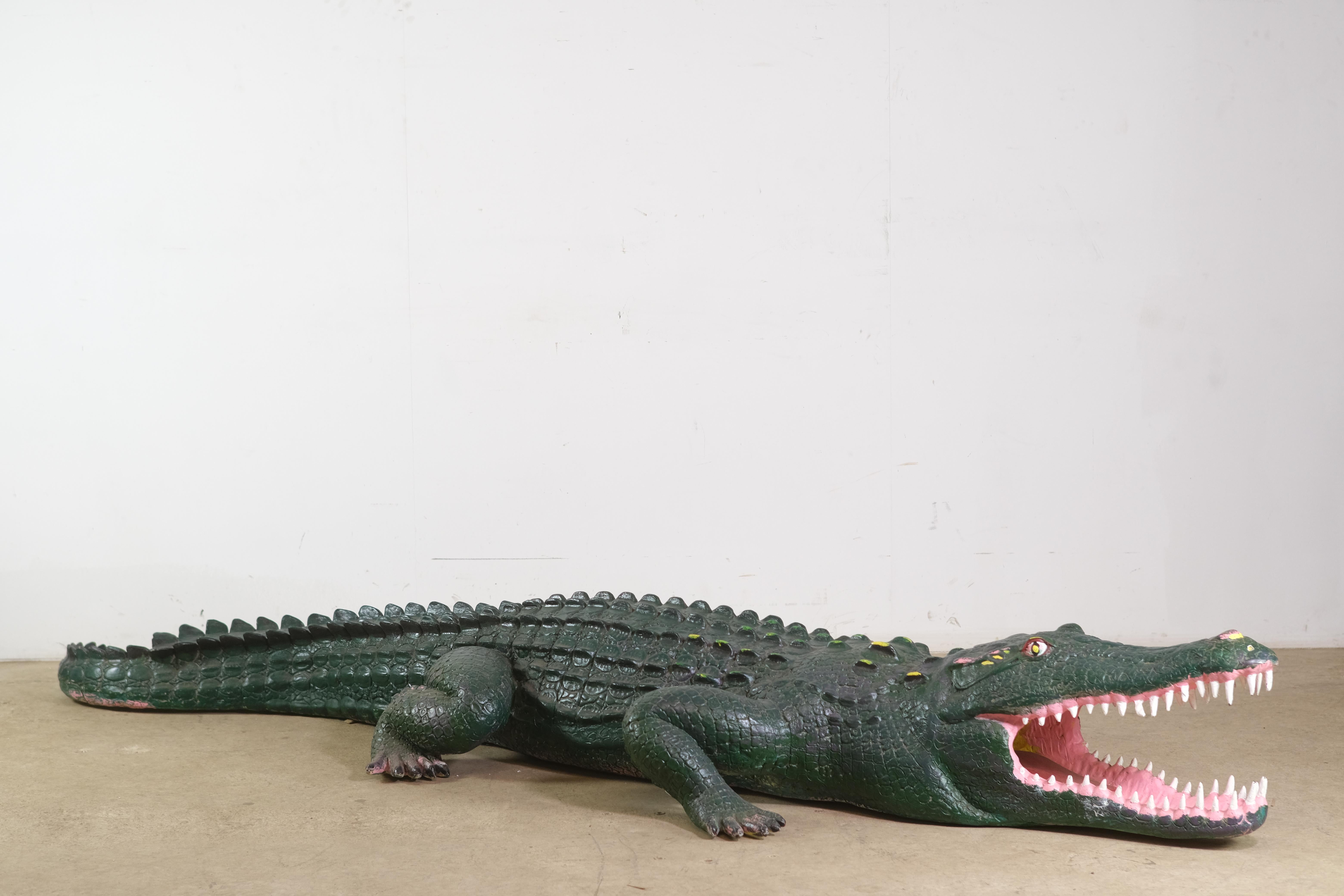 Life Size Hand Painted Long Fiberglass Crocodile For Sale 5