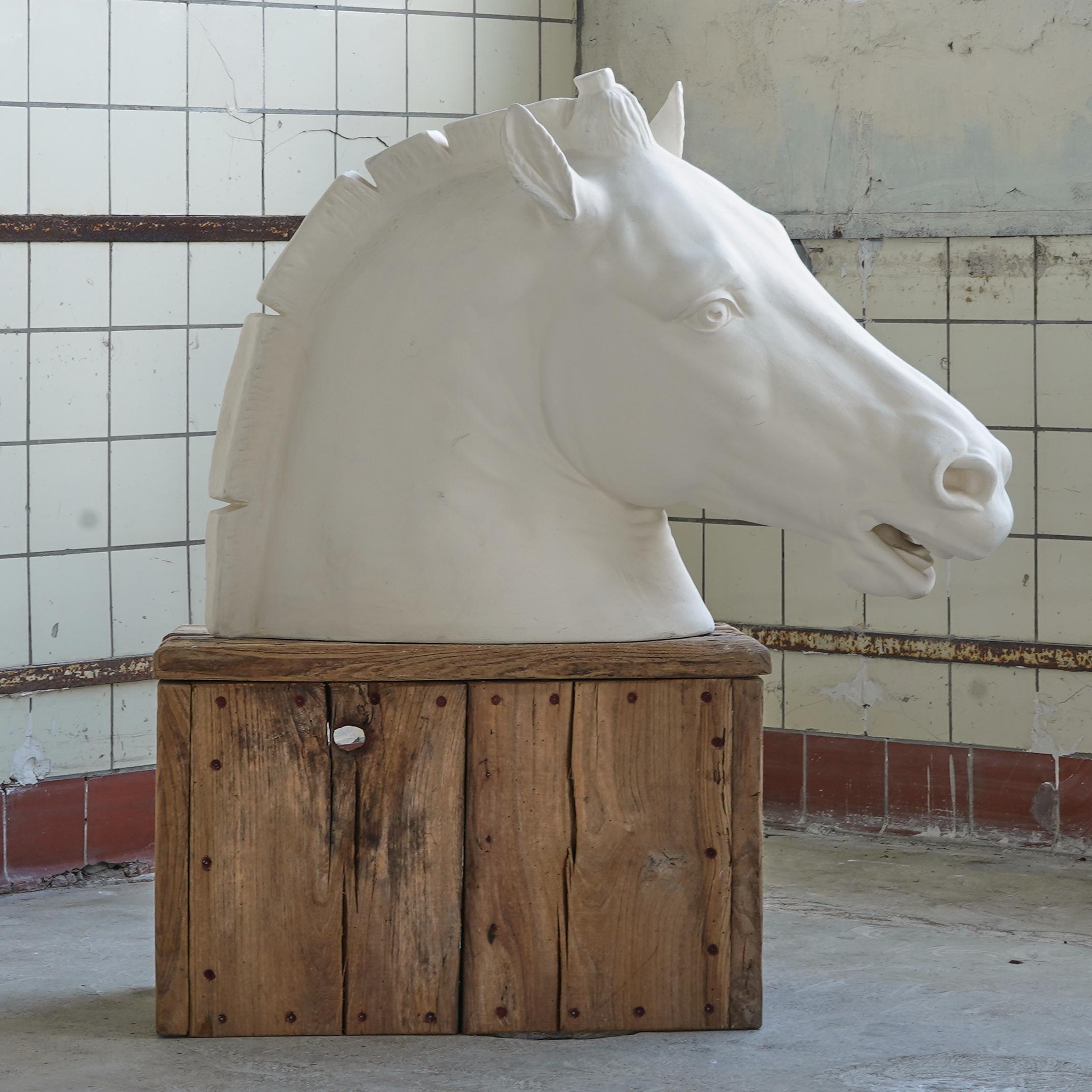 Wonderful large horse head in plaster. Big scale and great details and patina. The white plaster creates a beautiful interplay of light and shadows.

Shows great movement in the way the head is depicted. Reminiscent of equivalent plaster casts of