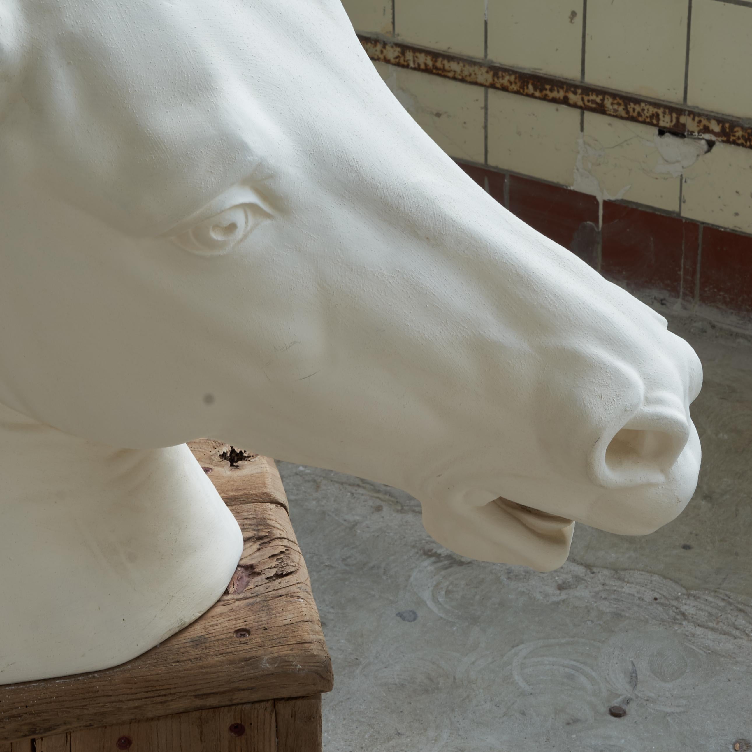 Cabeza de caballo de tamaño natural en escayola sobre pedestal Romano clásico en venta