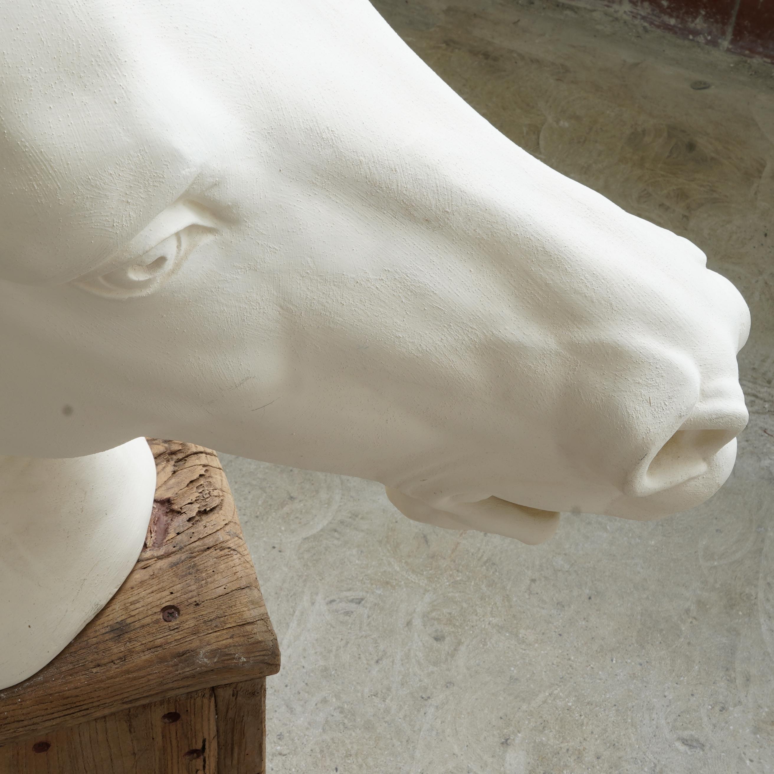 Classical Roman Life Size Horse Head in Plaster on Pedestal For Sale
