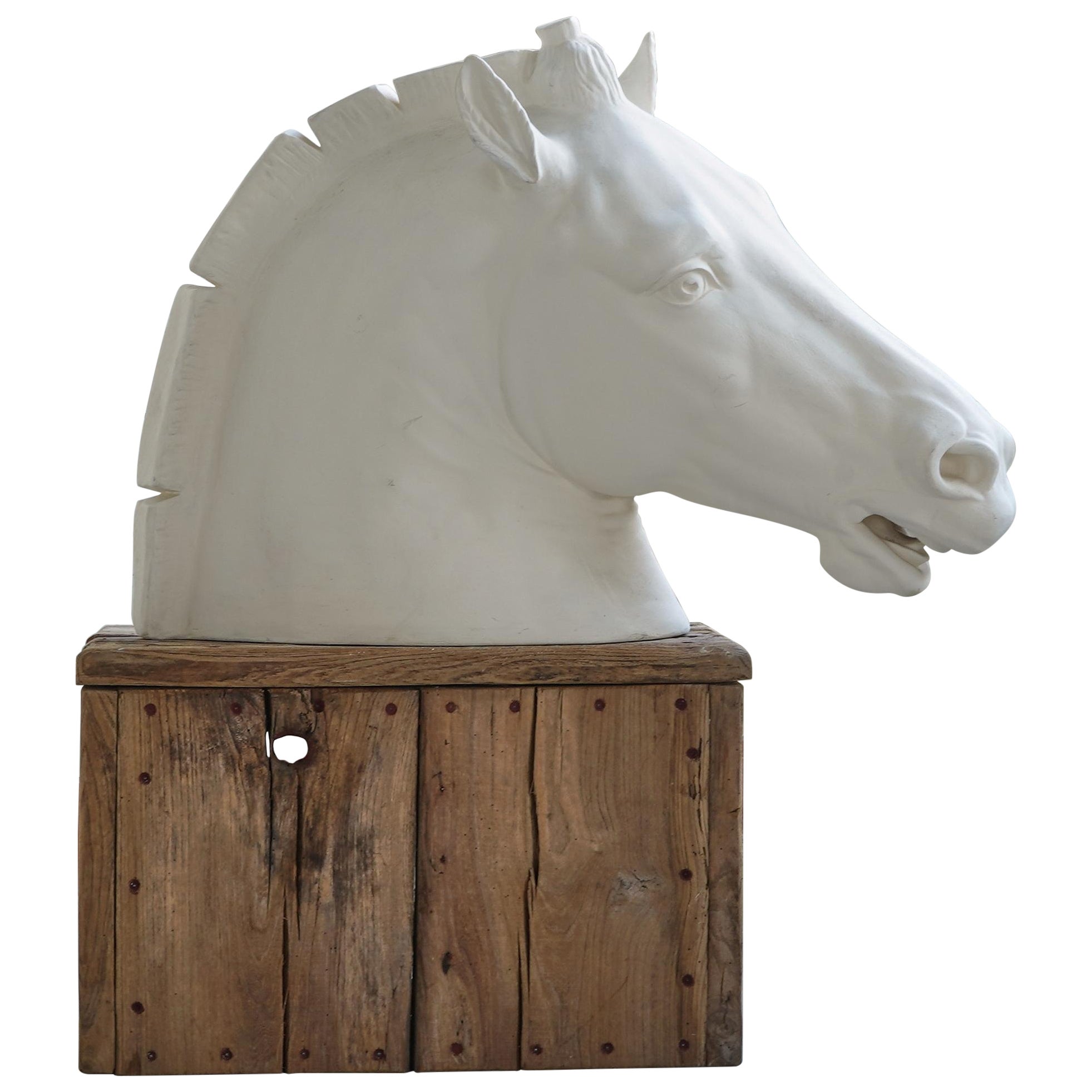 Testa di cavallo a grandezza naturale in gesso su piedistallo in vendita