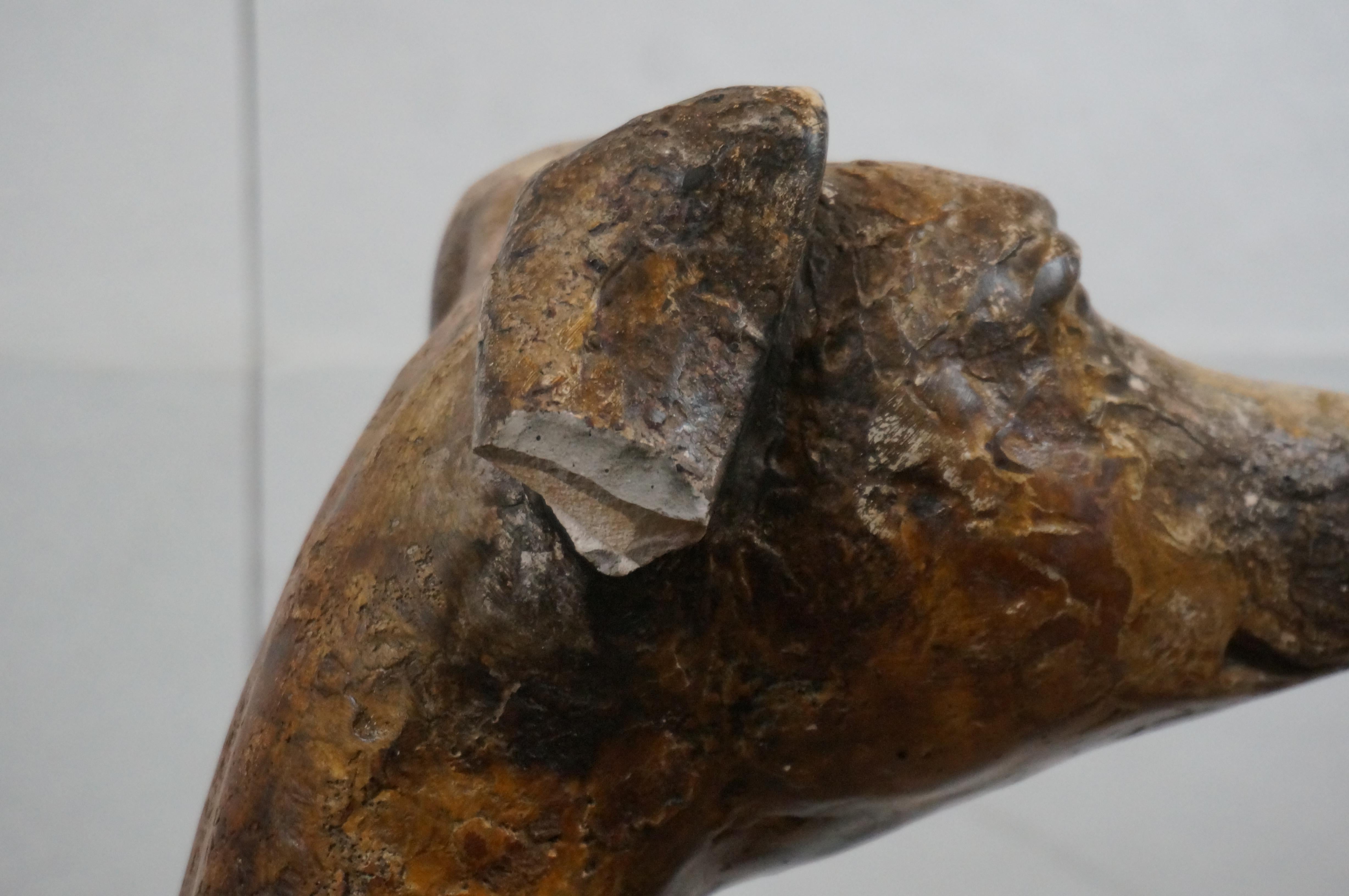 Galgo Italiano Whippet Perro Composición Escultura 32
