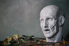 Life-Size Late 19th Century Plaster Ecorche Bust Anatomical Flayed Figure