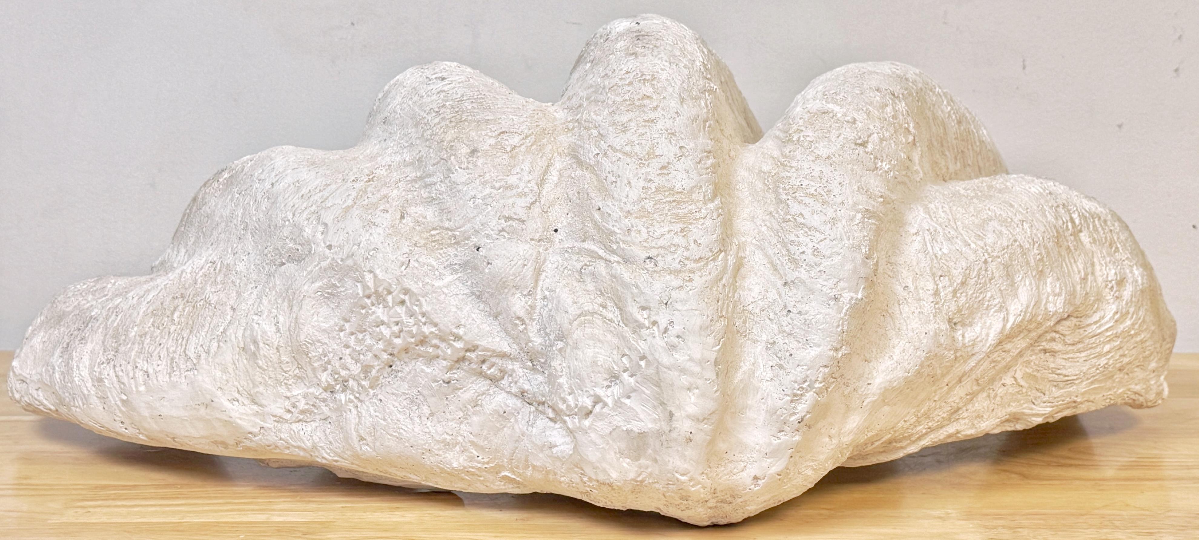Coquille de palourde Gigas Tridacna en plâtre peint grandeur nature en vente 2