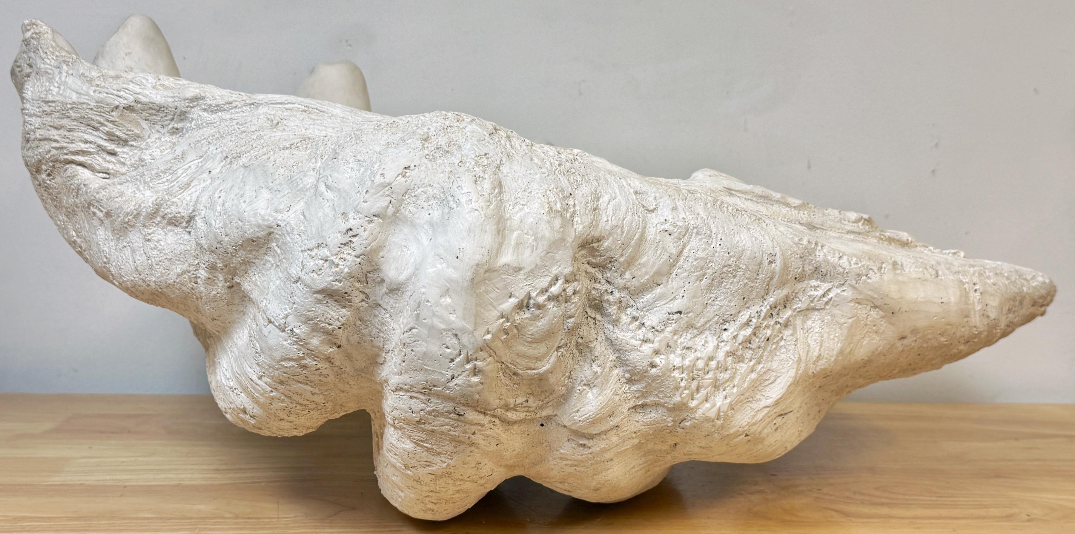Français Coquille de palourde Gigas Tridacna en plâtre peint grandeur nature en vente