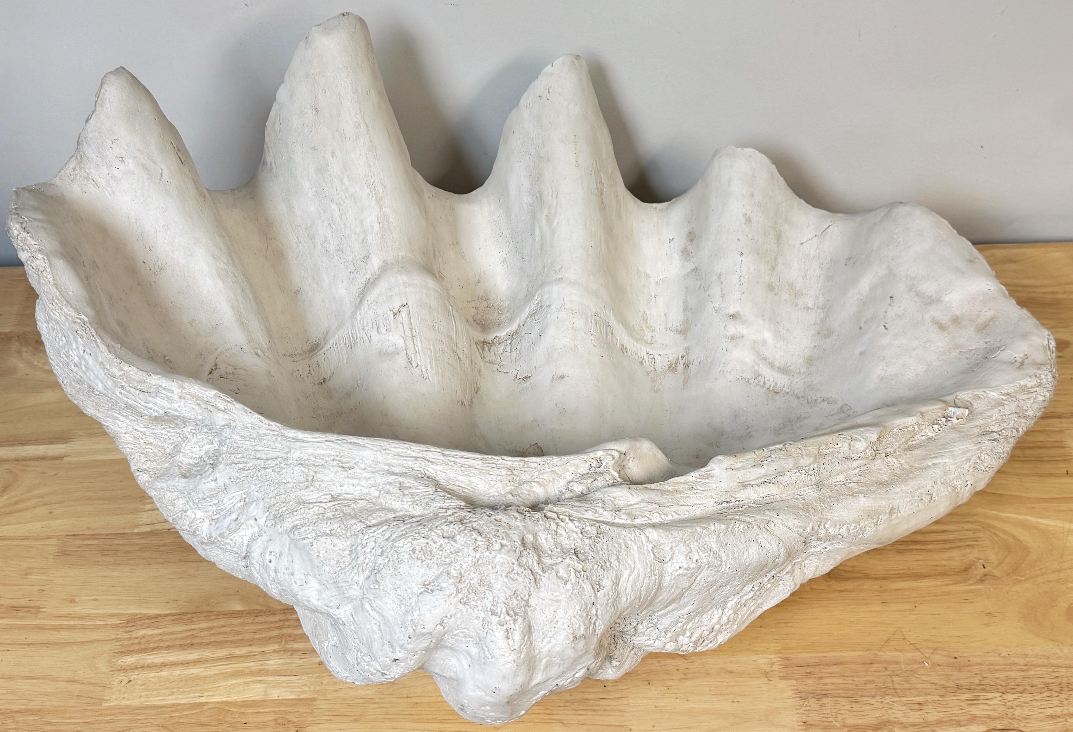 Polychromé Coquille de palourde Gigas Tridacna en plâtre peint grandeur nature en vente