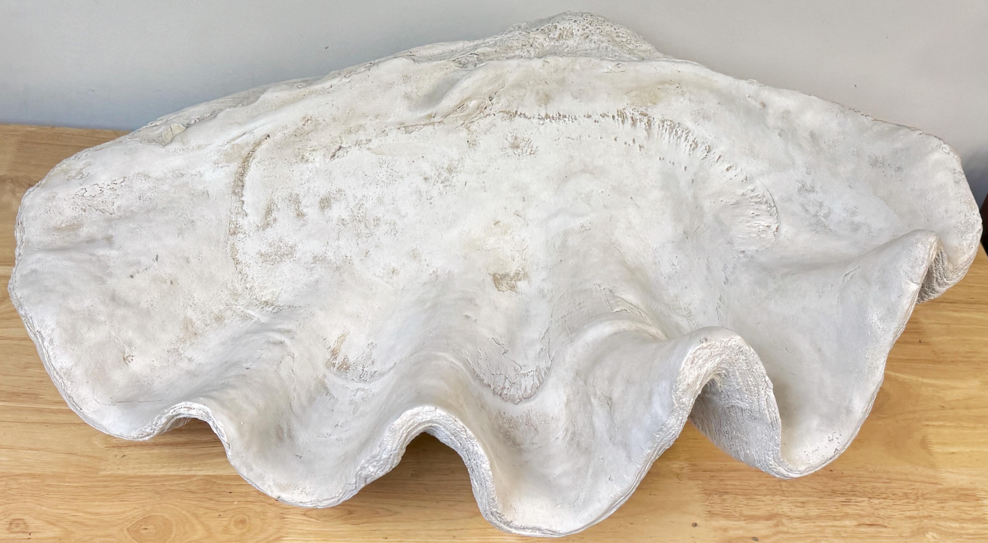 20ième siècle Coquille de palourde Gigas Tridacna en plâtre peint grandeur nature en vente