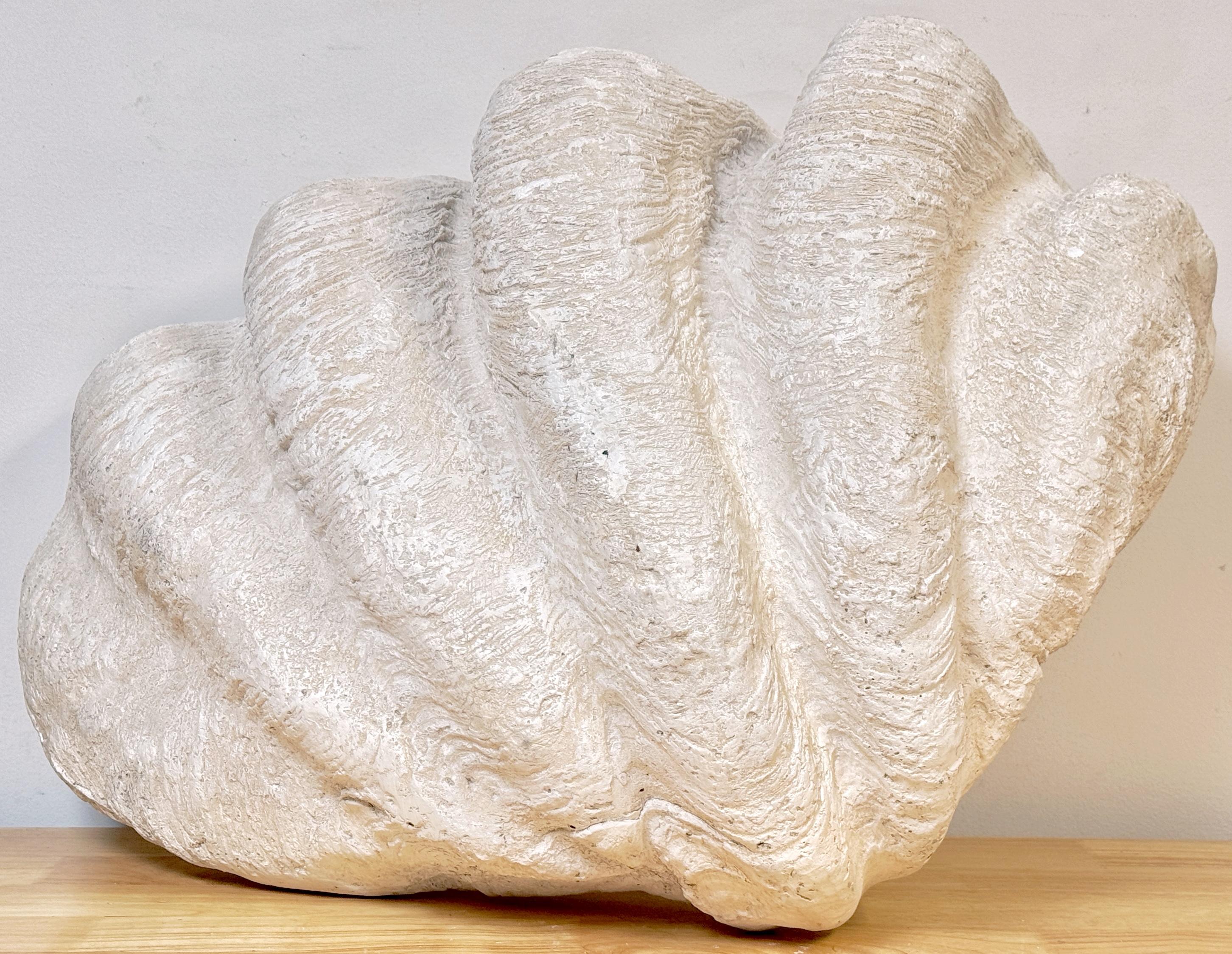 Plâtre Coquille de palourde Gigas Tridacna en plâtre peint grandeur nature en vente