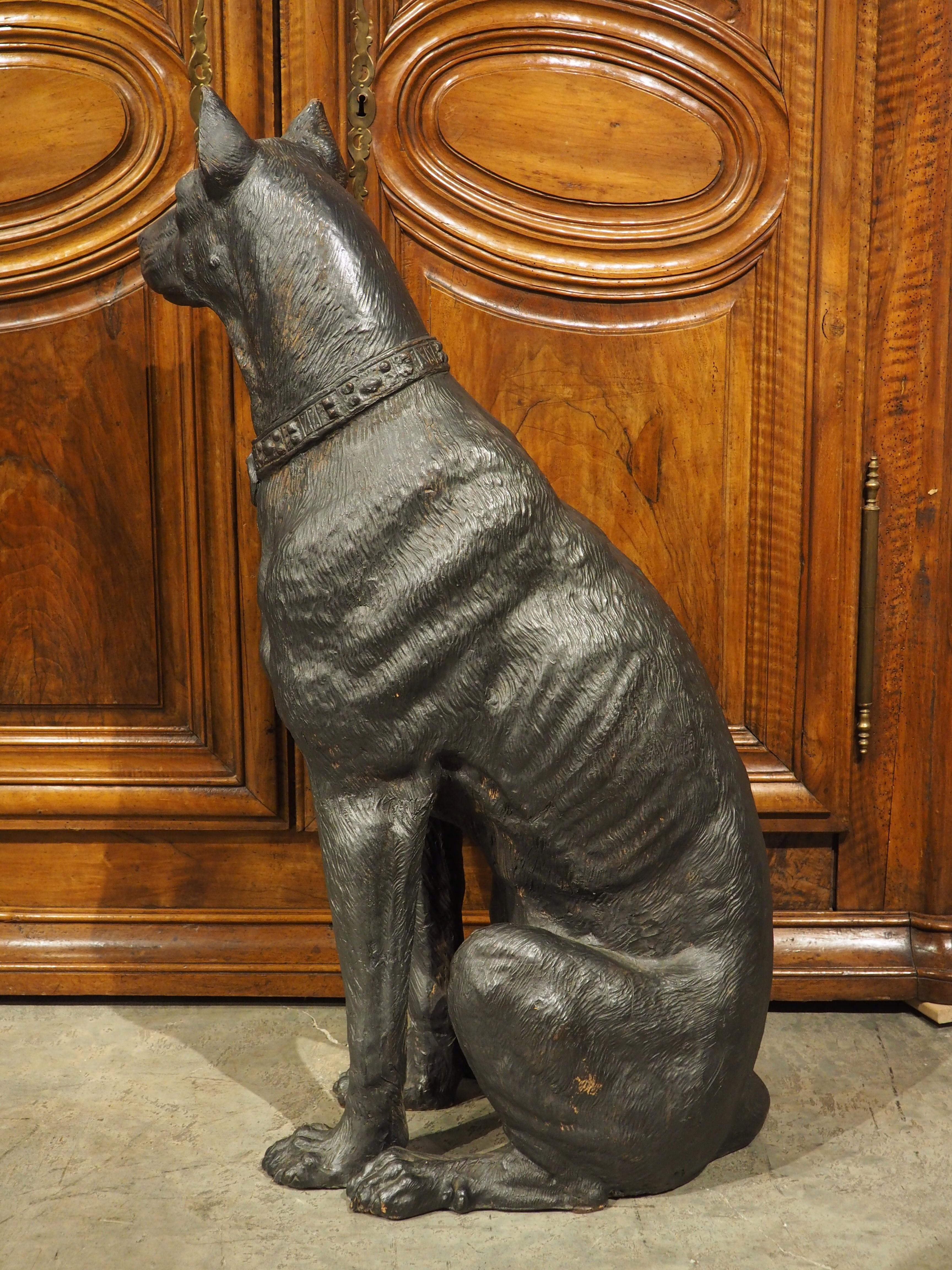 Originally from Austria, circa 1880, this life-sized painted terra cotta sculpture depicts a large and regal pinscher. The seated dog has been hand-painted black, with light traces of the original orange terra cotta color showing. A bejeweled collar