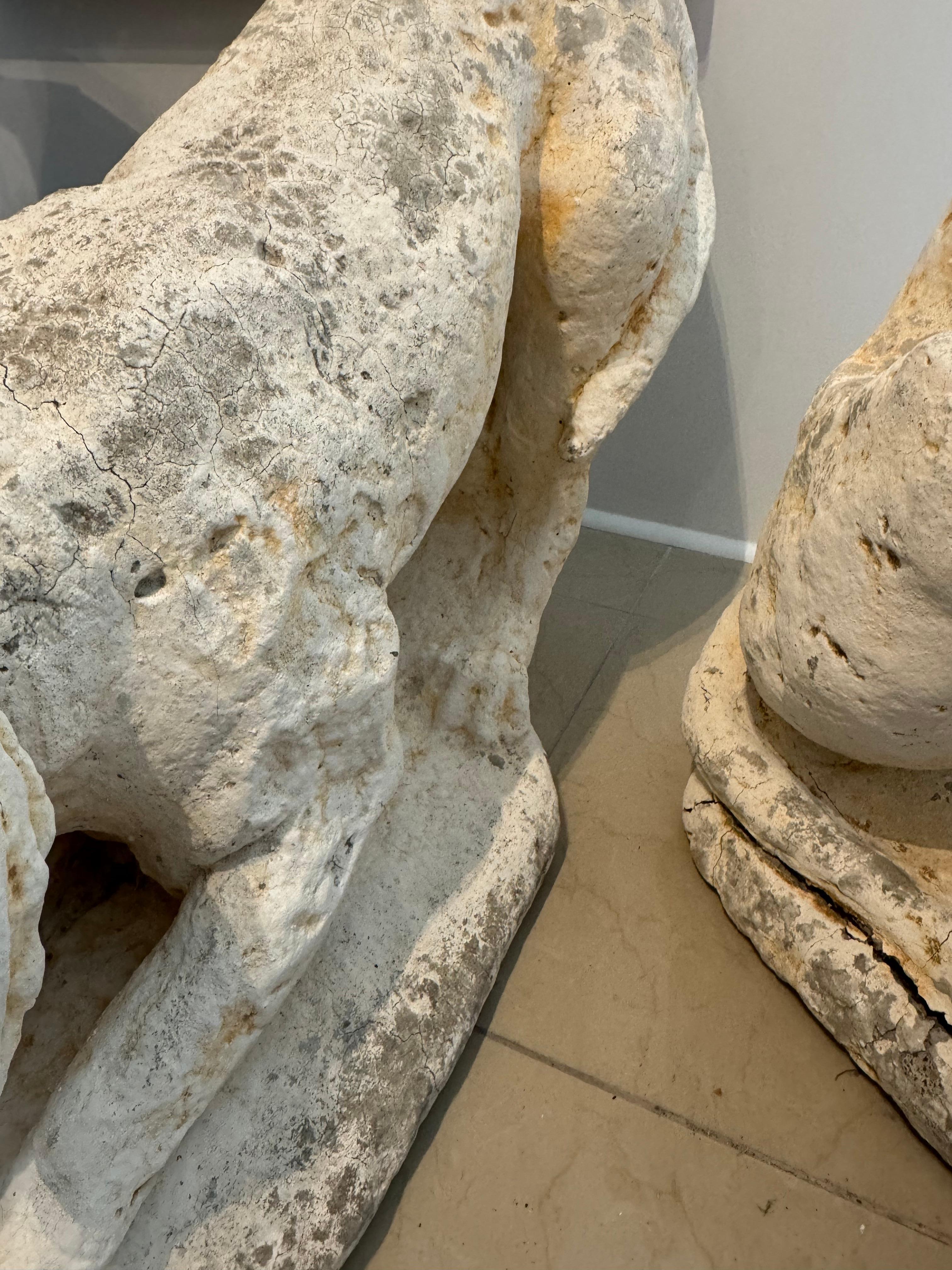 Pareja De Perros De Tamaño Natural siglo XX en venta