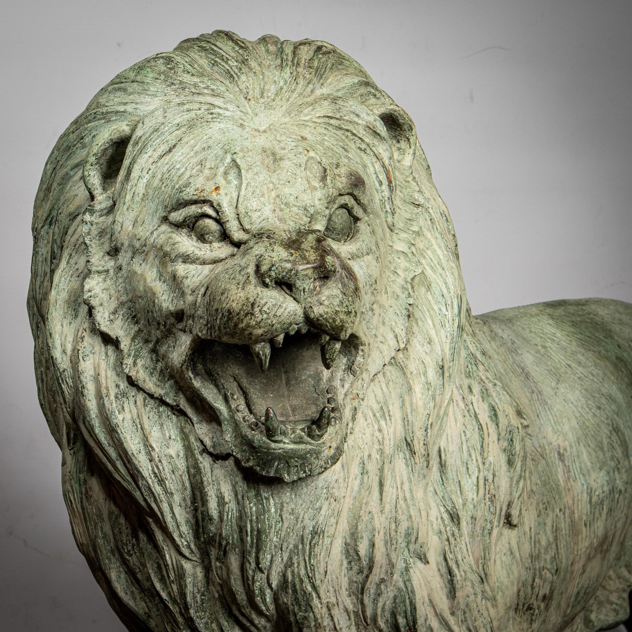 A magnificent pair of very large bronze lions, these are realistically modelled and stand on all fours. They are entirely covered in a green verdigris patination and have an extraordinary weight which will have them standing through any weather