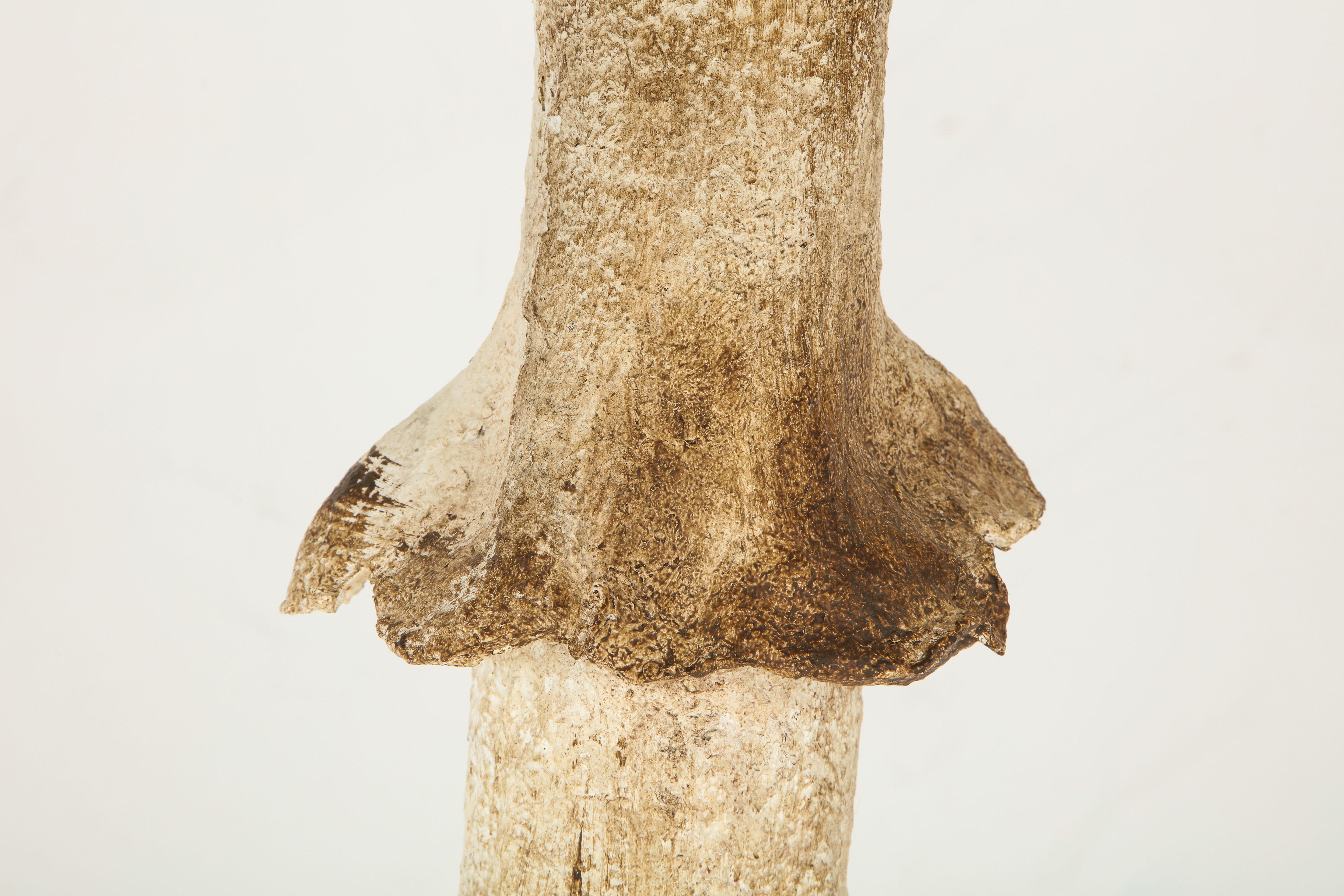 Life-size papier mâché amanita muscaria mushroom.