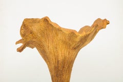 Life-Size Papier Mâché Chanterlle Mushroom