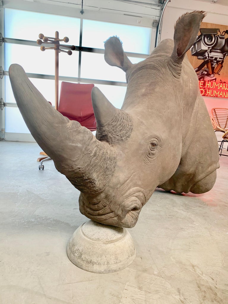 LifeSize Rhino Mount Replica For Sale at 1stDibs elephant mounts rhino