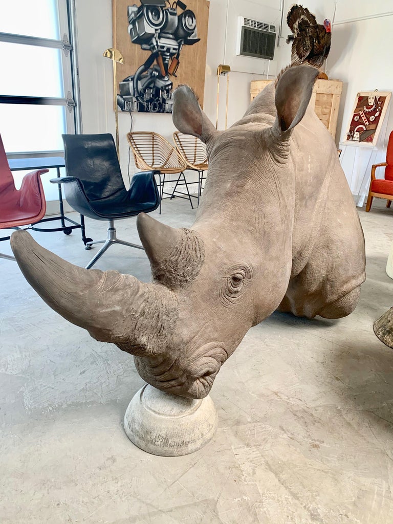 LifeSize Rhino Mount Replica For Sale at 1stDibs elephant mounts rhino