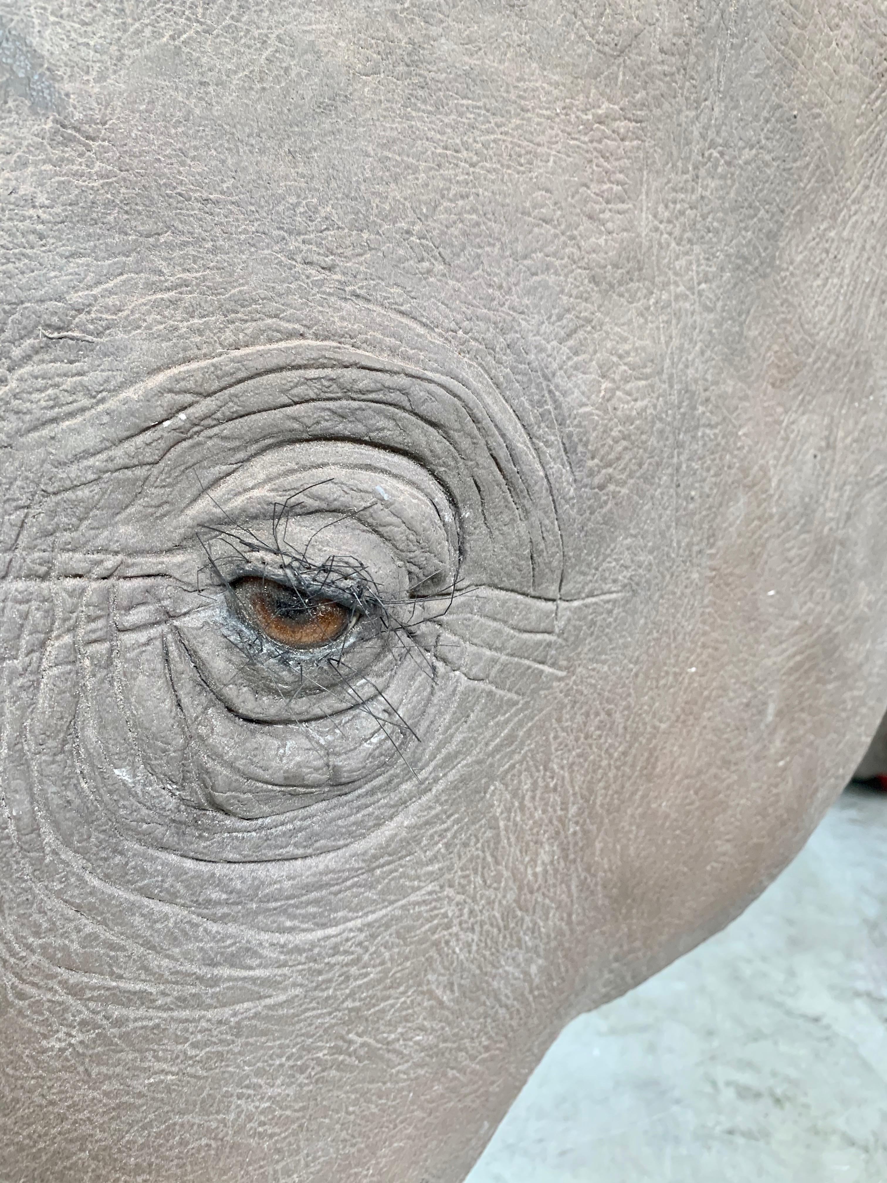 Life-Size Rhino Mount Replica In Good Condition In Los Angeles, CA
