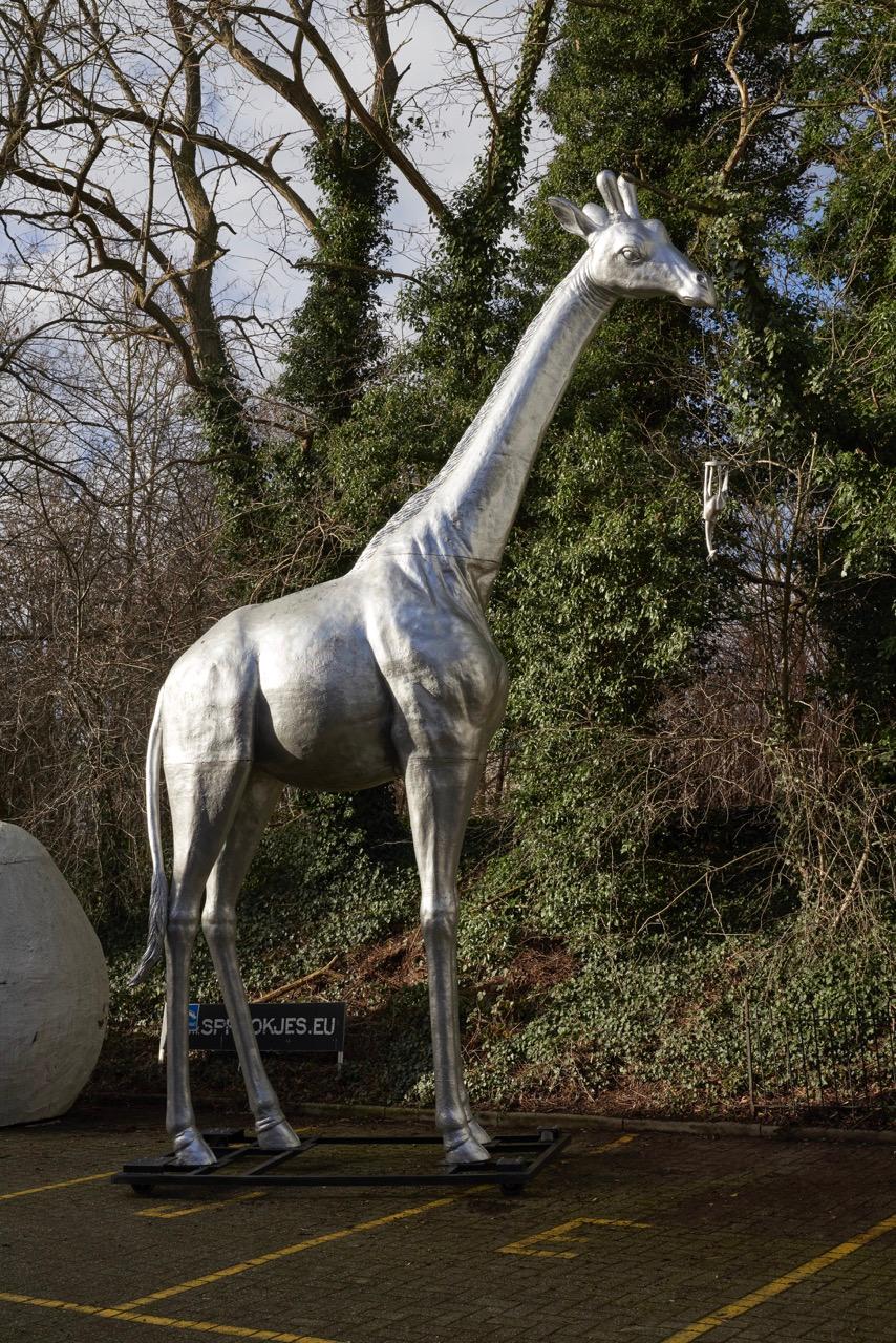 This impressive life-size giraffe sculpture, finished in a sleek silver color, is a true work of art. Perfect for creating a bold statement in any outdoor or large indoor space, this sculpture captures the elegance and grace of a giraffe in stunning