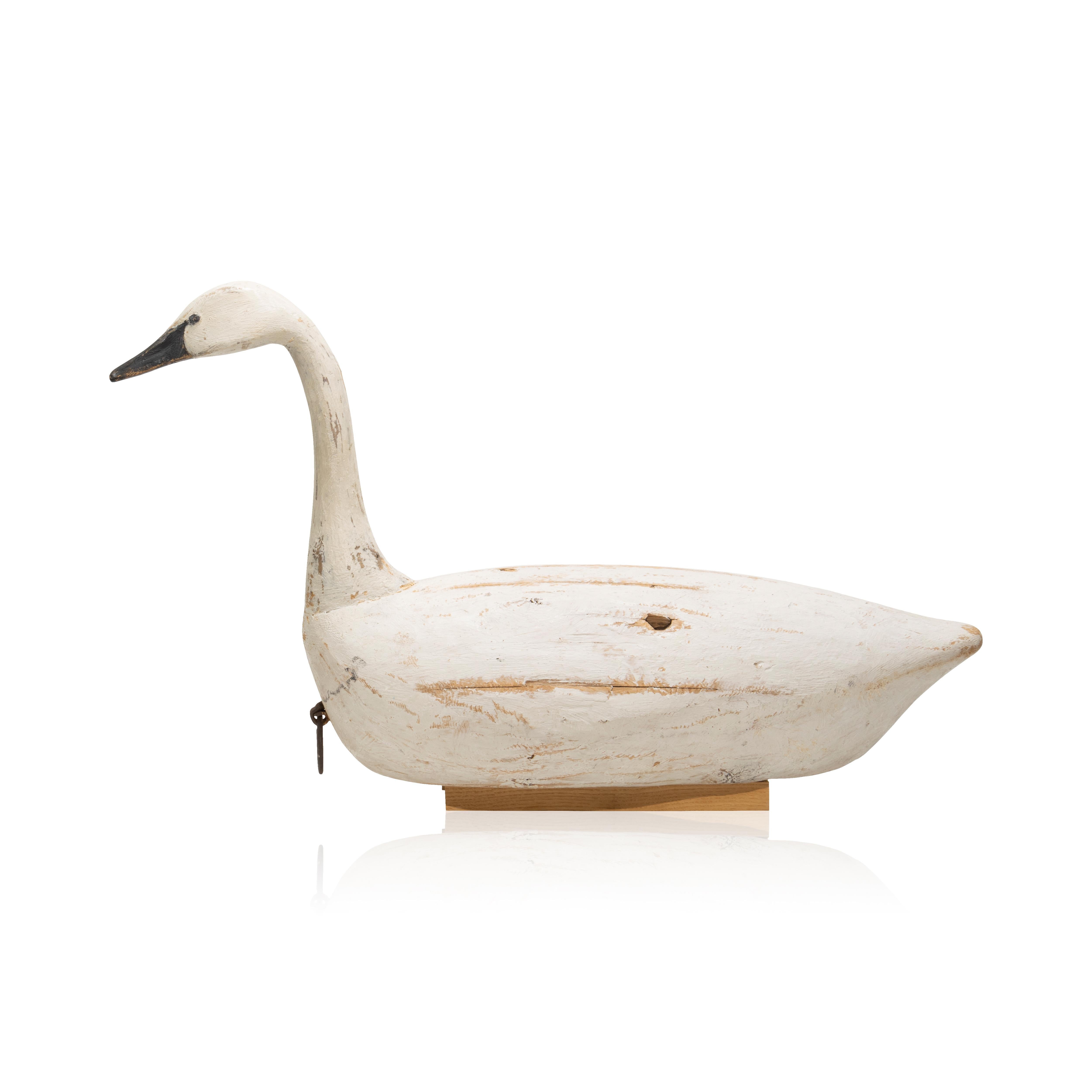 Full size whistling swan decoy by Reggie Birch, Chincoteague, Virginia. 
