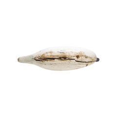 Life Size Swan Decoy