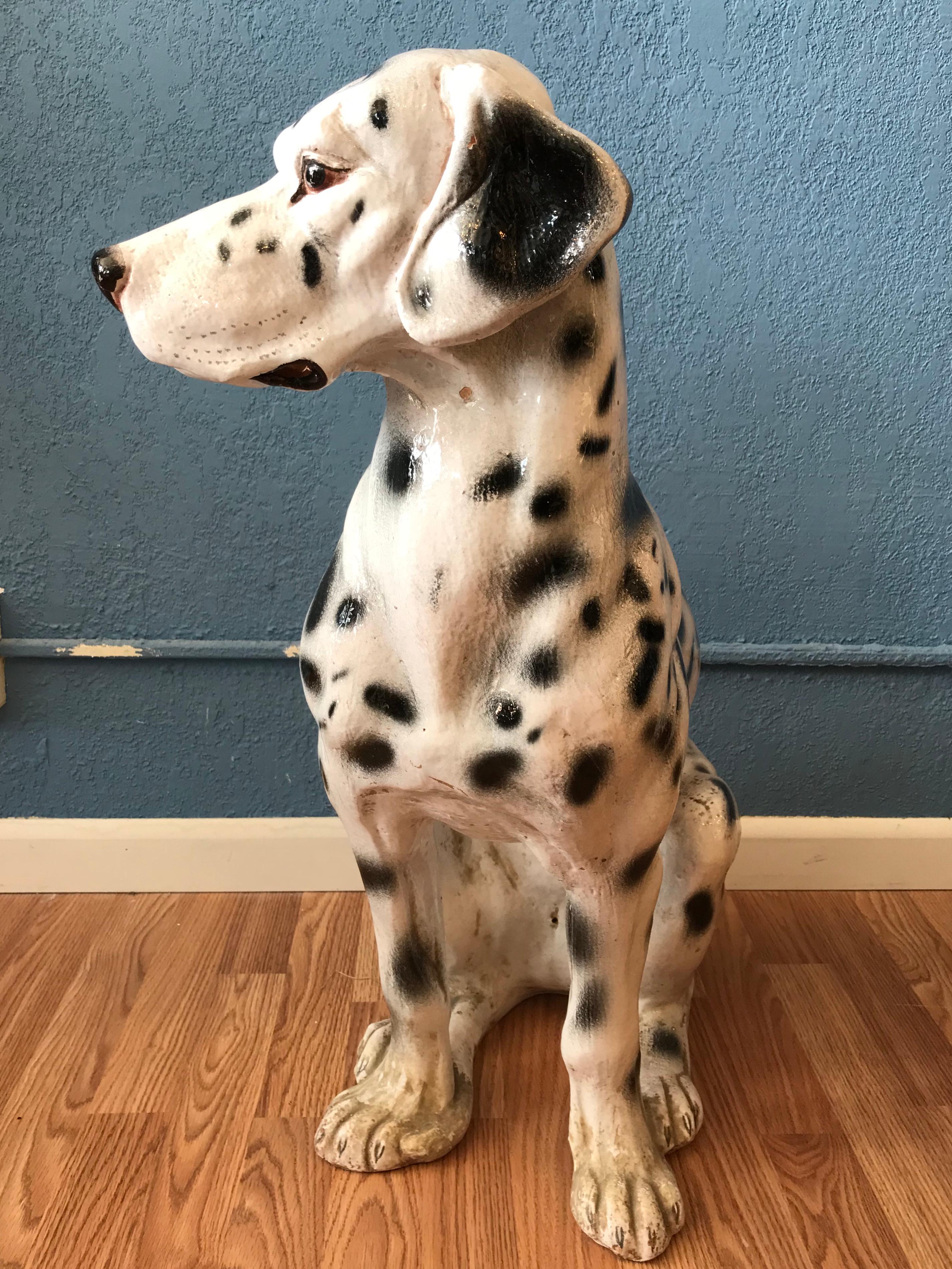dalmatian size